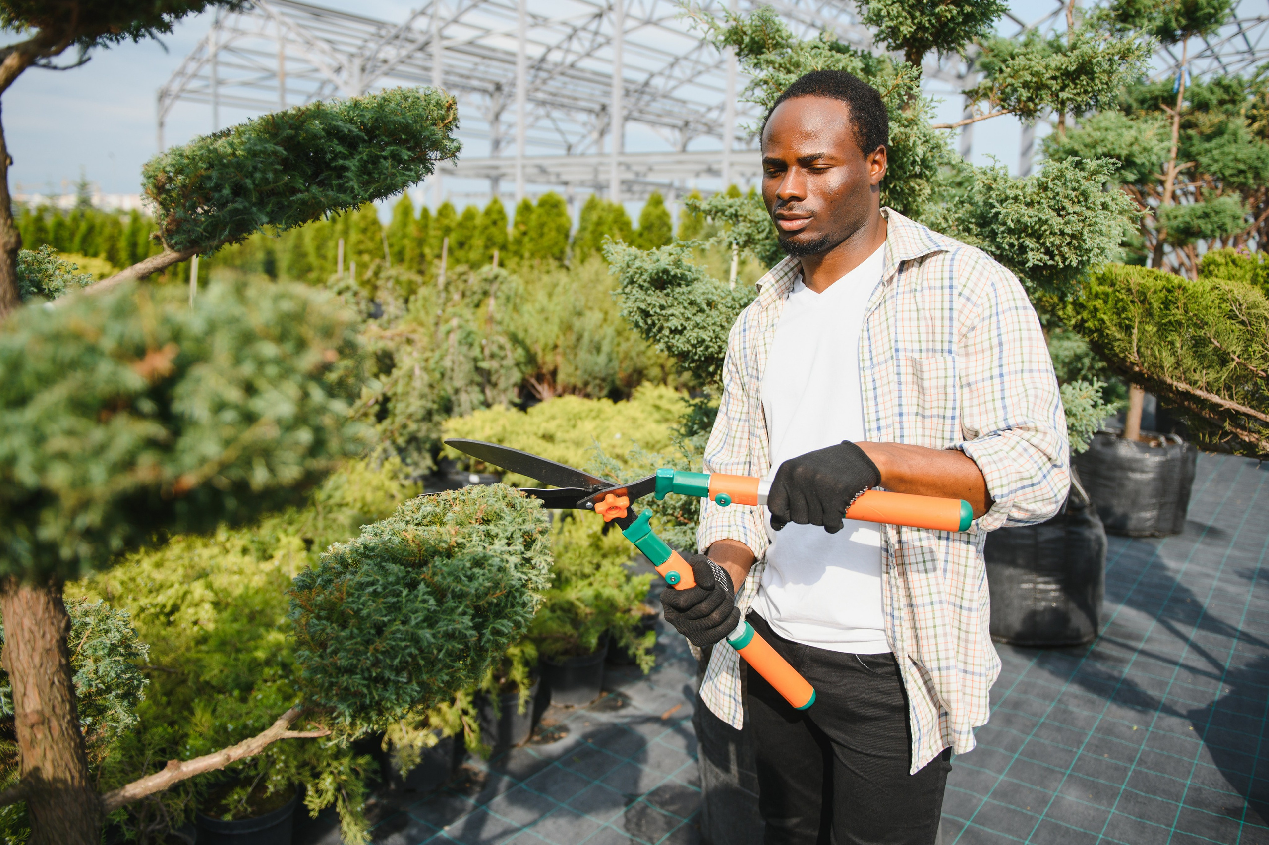 Συντήρηση Πολυκατοικιών | Καθαρισμός & Κοινόχρηστοι Χώροι. Geoponitikon-Όταν η Επιστήμη συναντά την Τέχνη στο Φυσικό Τοπίο!