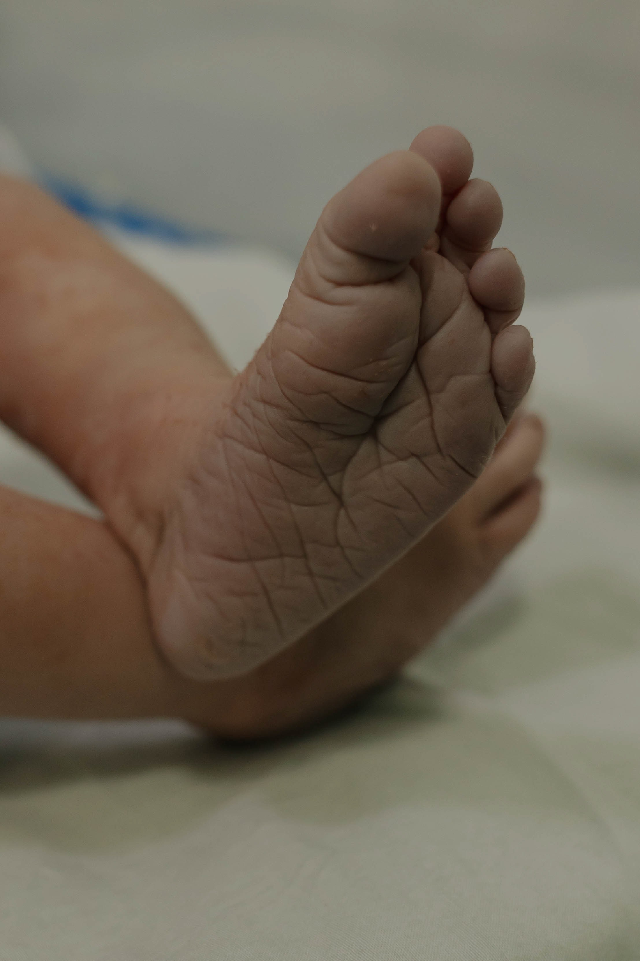 A Chegada de Maria Lis. Amanda Paraizo | Fotógrafa de Parto, Gestante e Família na Grande Vitória — ES