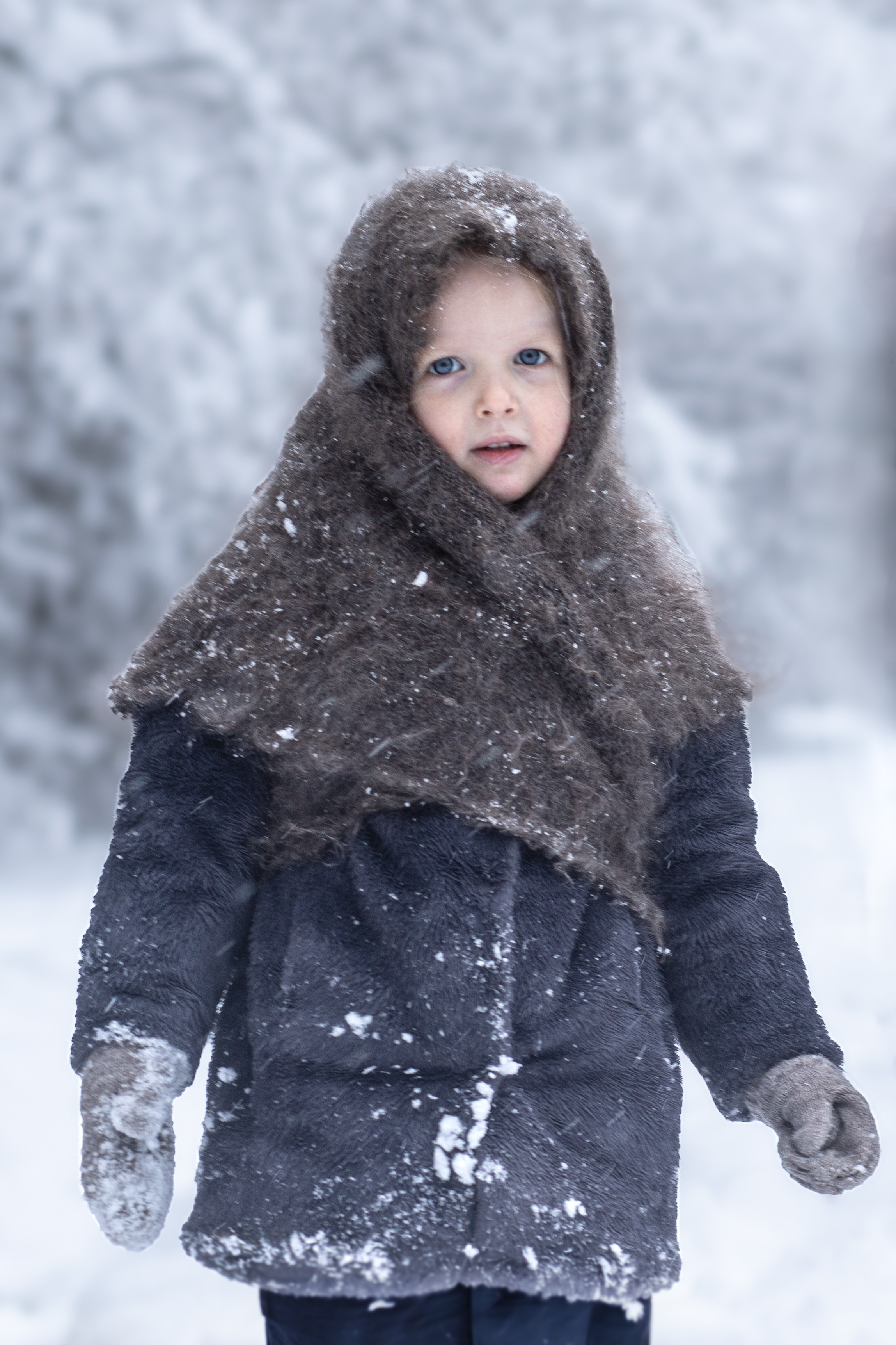 Ein Weihnachtsmärchen. Olena Fritz Fotografie