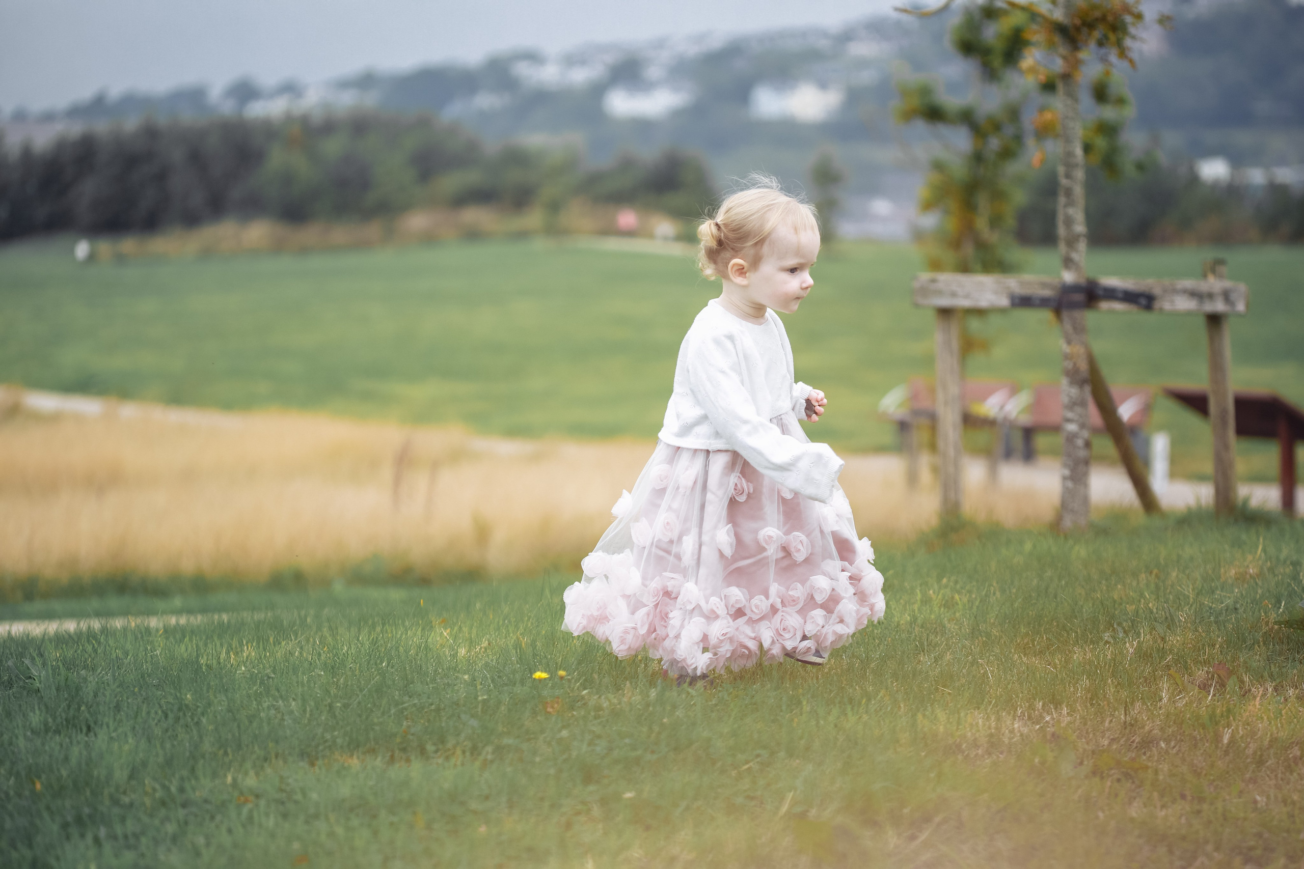 Orna & Colin, Charlie & Hailey. Wedding and family photographer in Cork, Ireland. Tigran