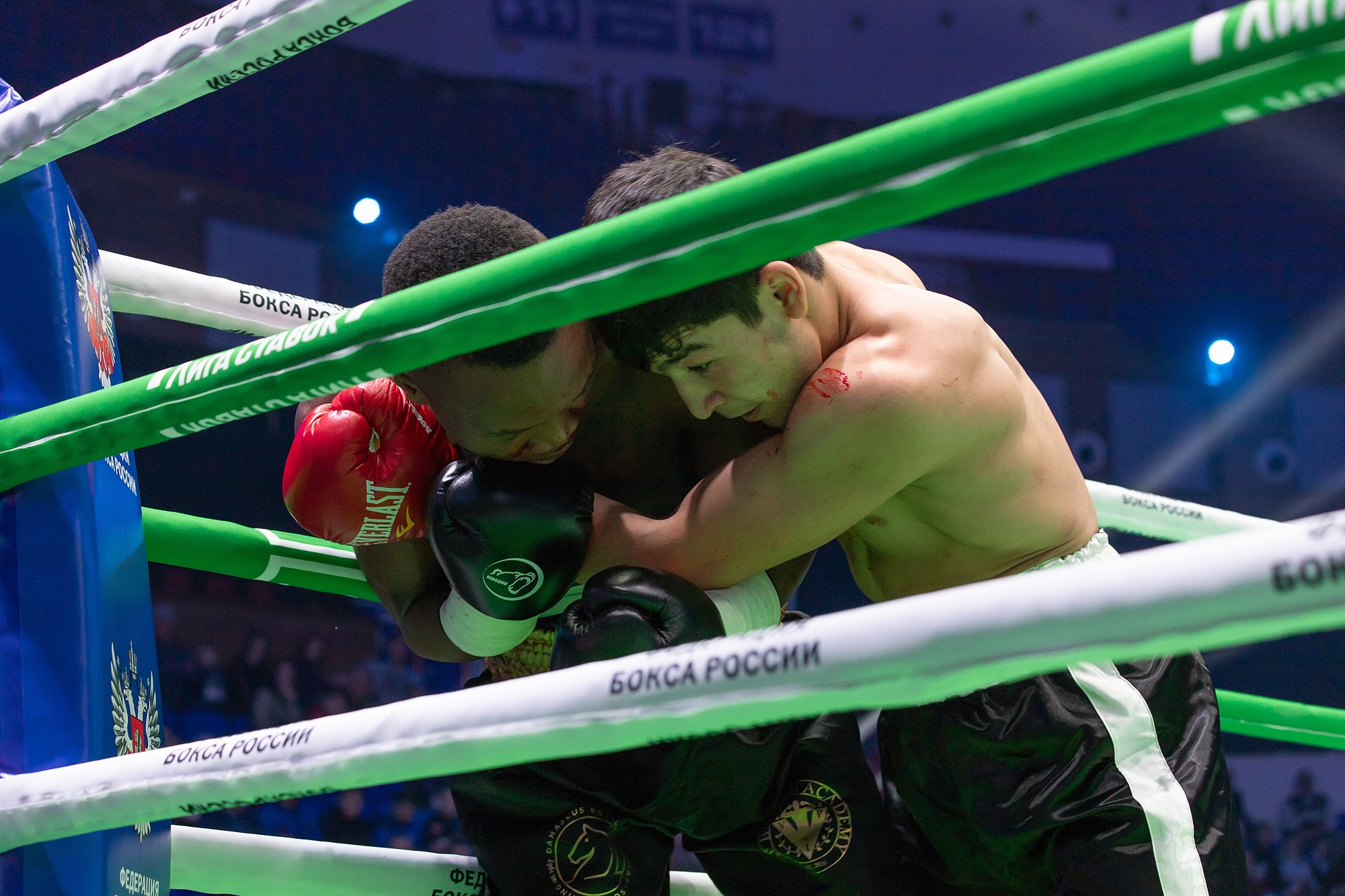 Zweites Allrussisches Boxforum. Fotofrafin in Deutschland