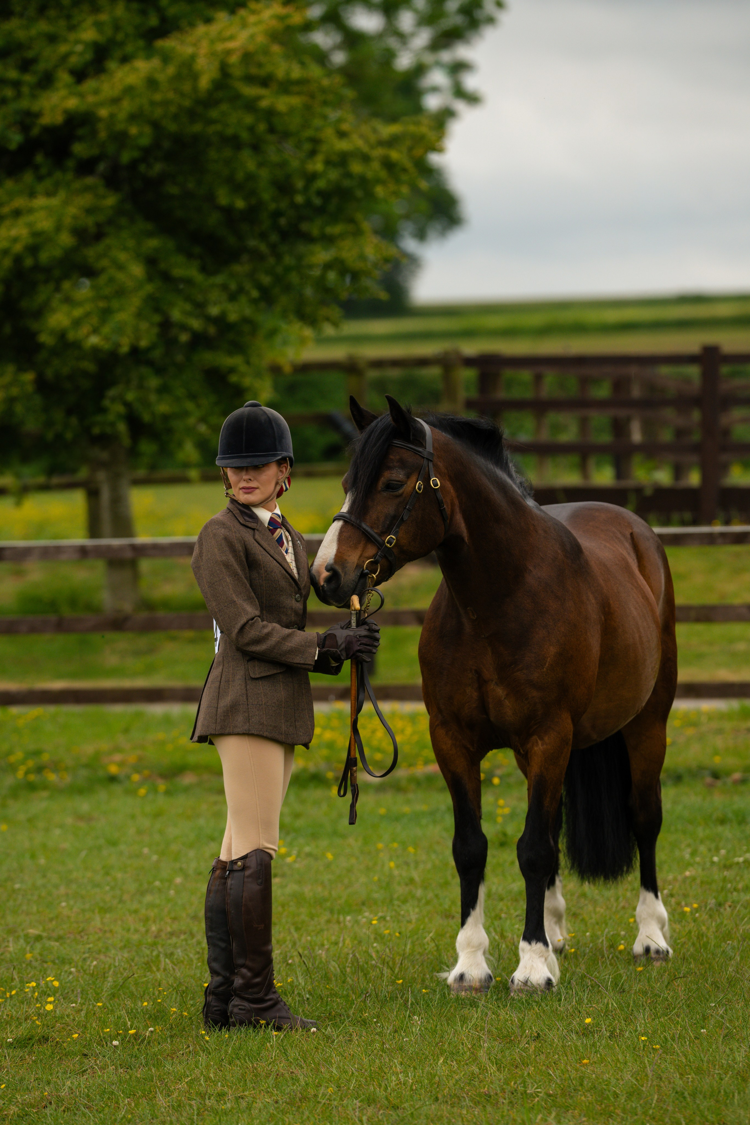 Showing. Leicestershire Equine Photography by El | Authentic Equine Portraits & Events