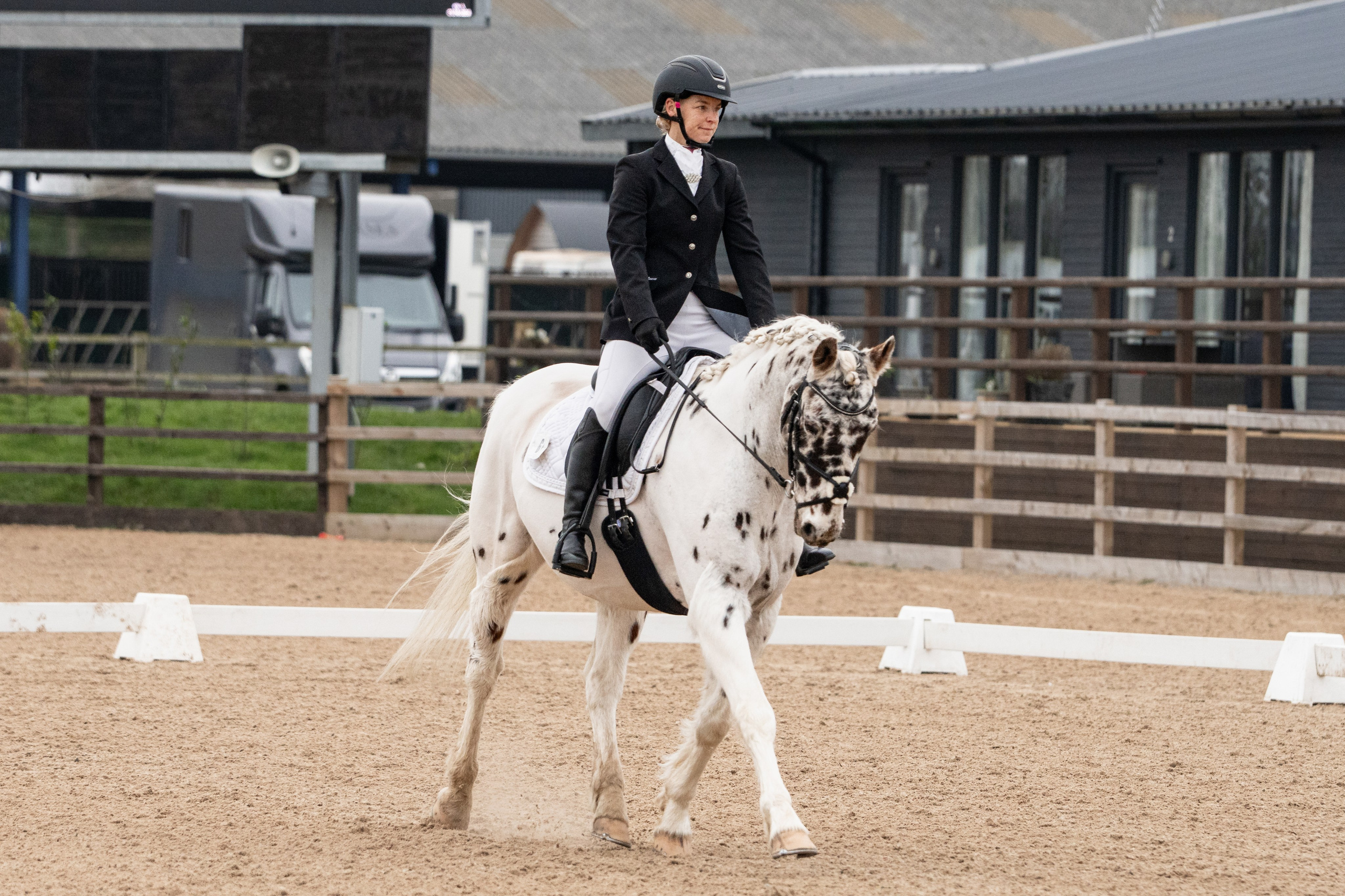 Dressage. Leicestershire Equine Photography by El | Authentic Equine Portraits & Events