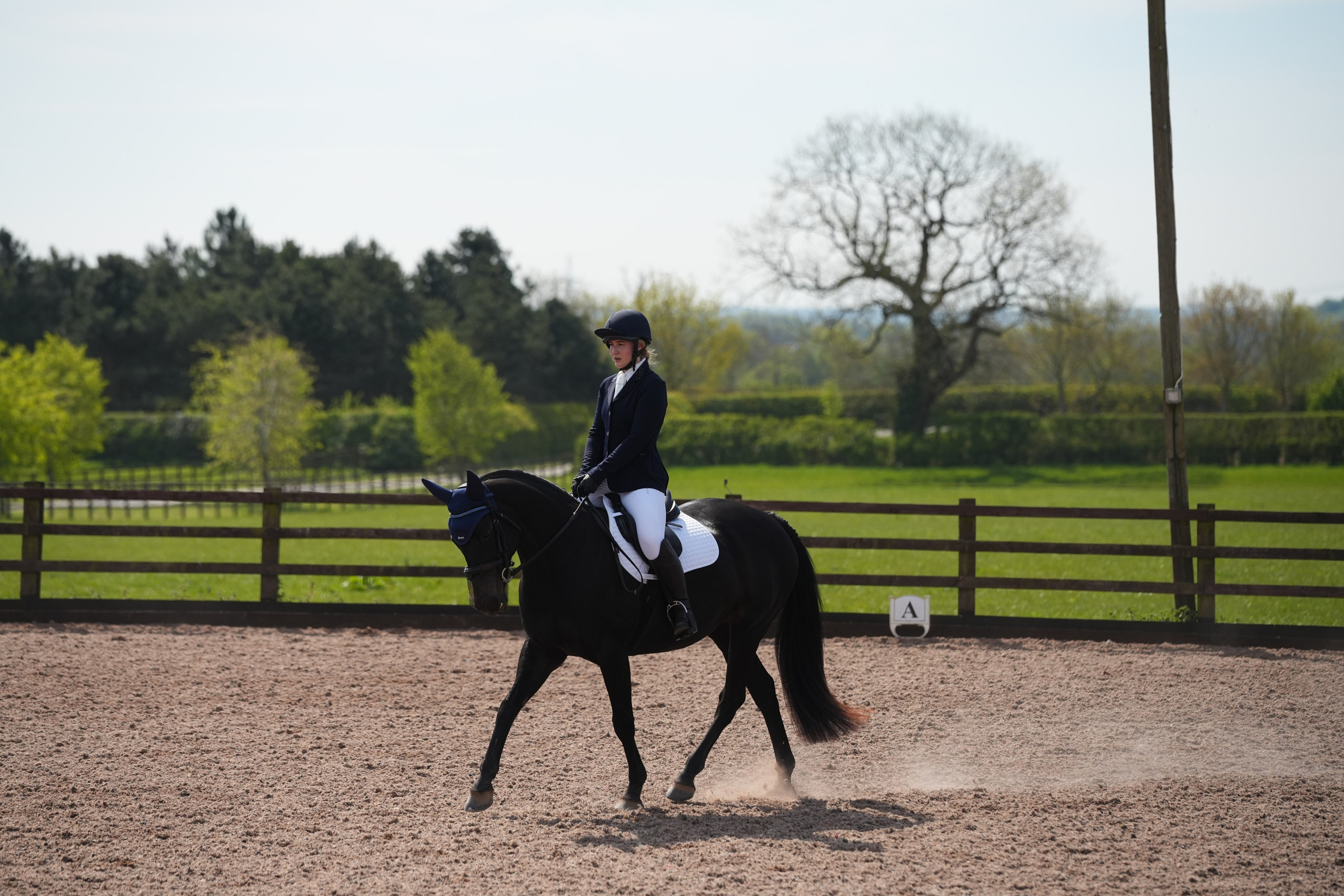 Dressage. Leicestershire Equine Photography by El | Authentic Equine Portraits & Events