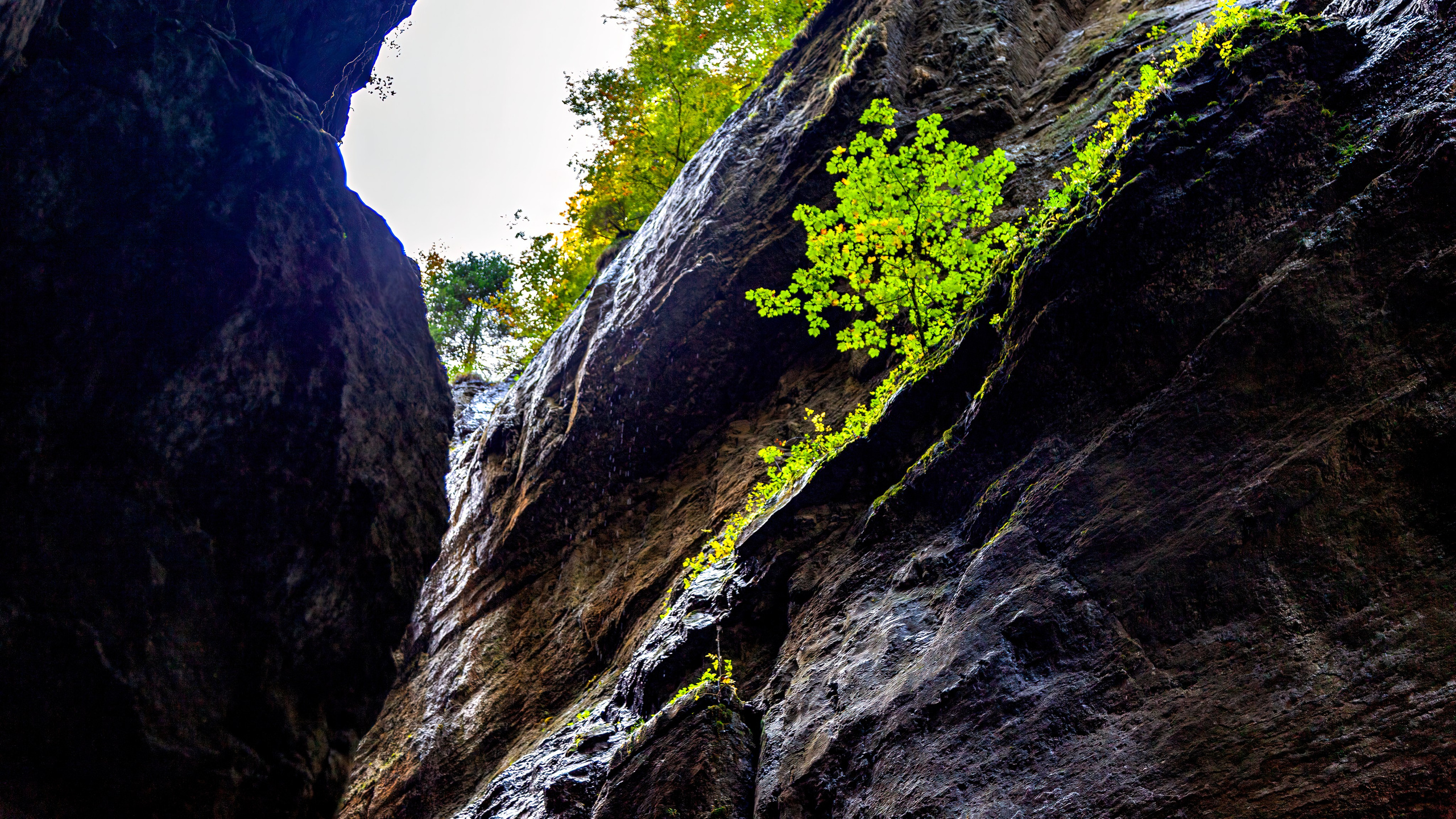 188.Partnachklamm Gorge.26.9.2024. Путешествия в формате 360......
