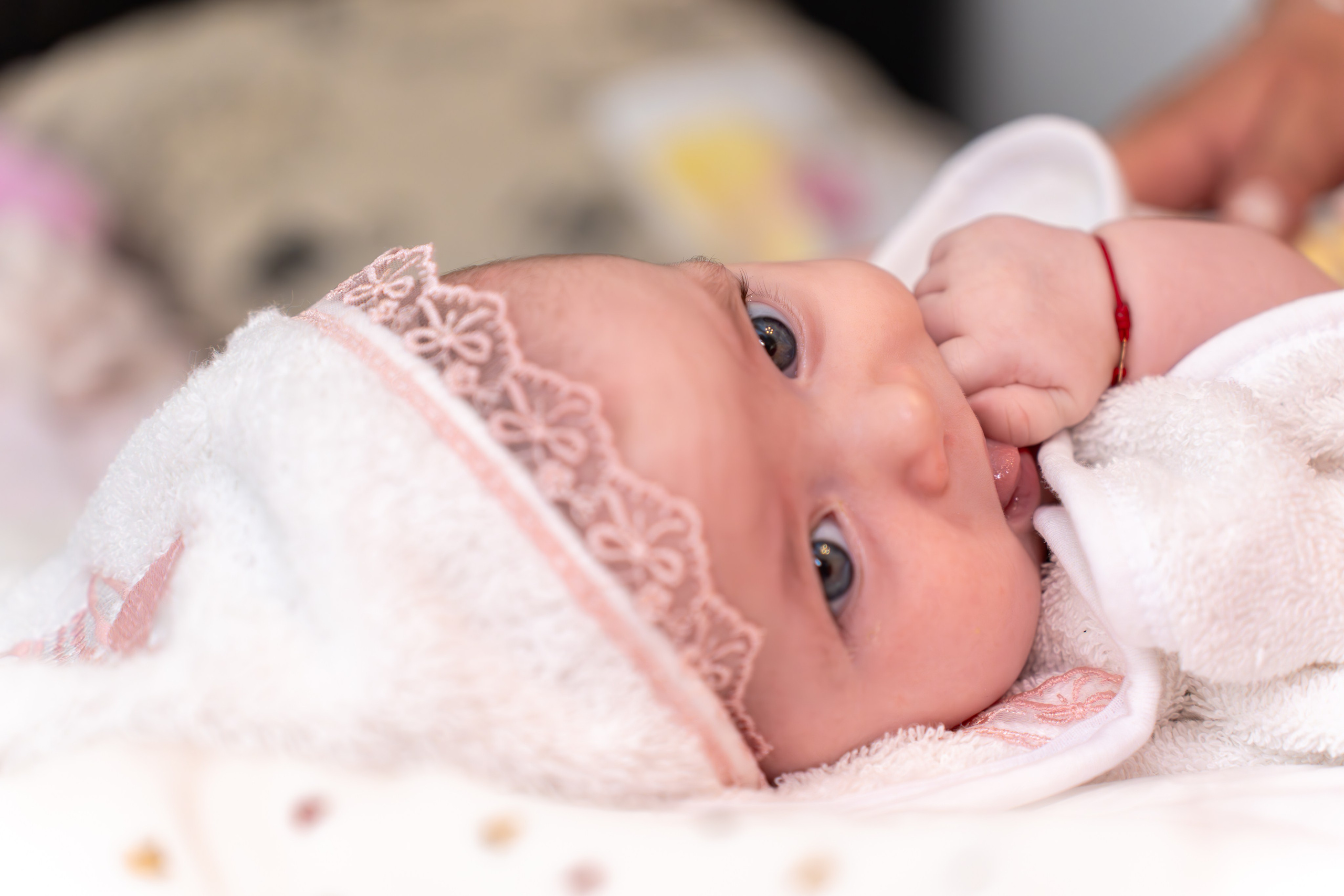 ✨ Portofoliu Botez ✨. Murgeanulucian