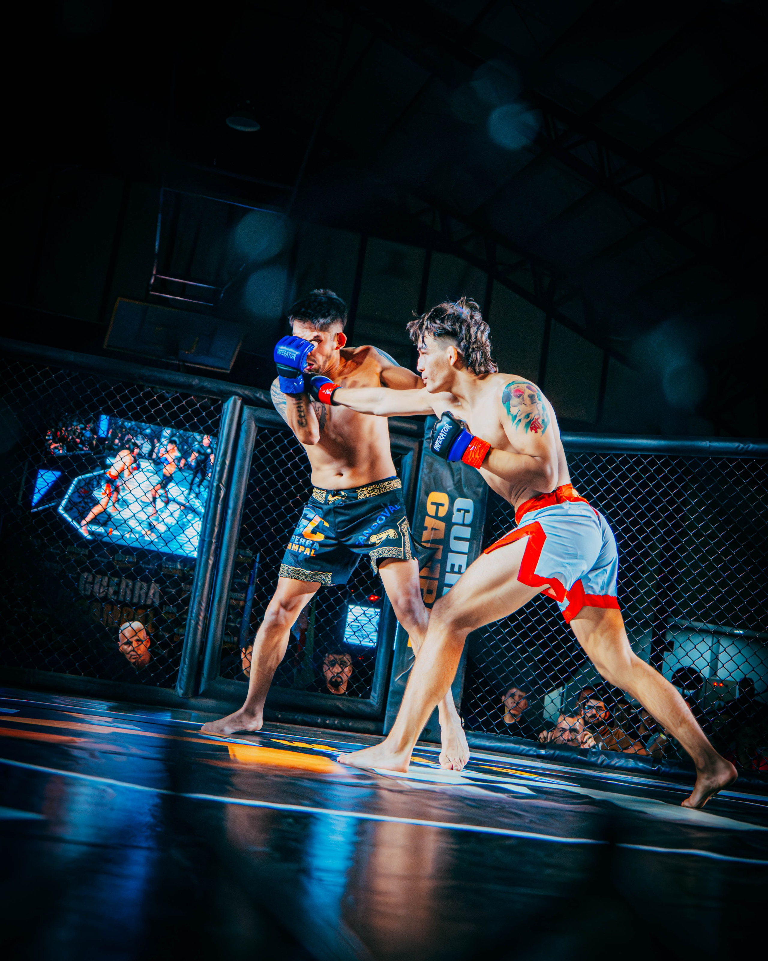 GUERRA CAMPAL. DEYA BELTRAN Maquilladora, fotógrafa y vídeos