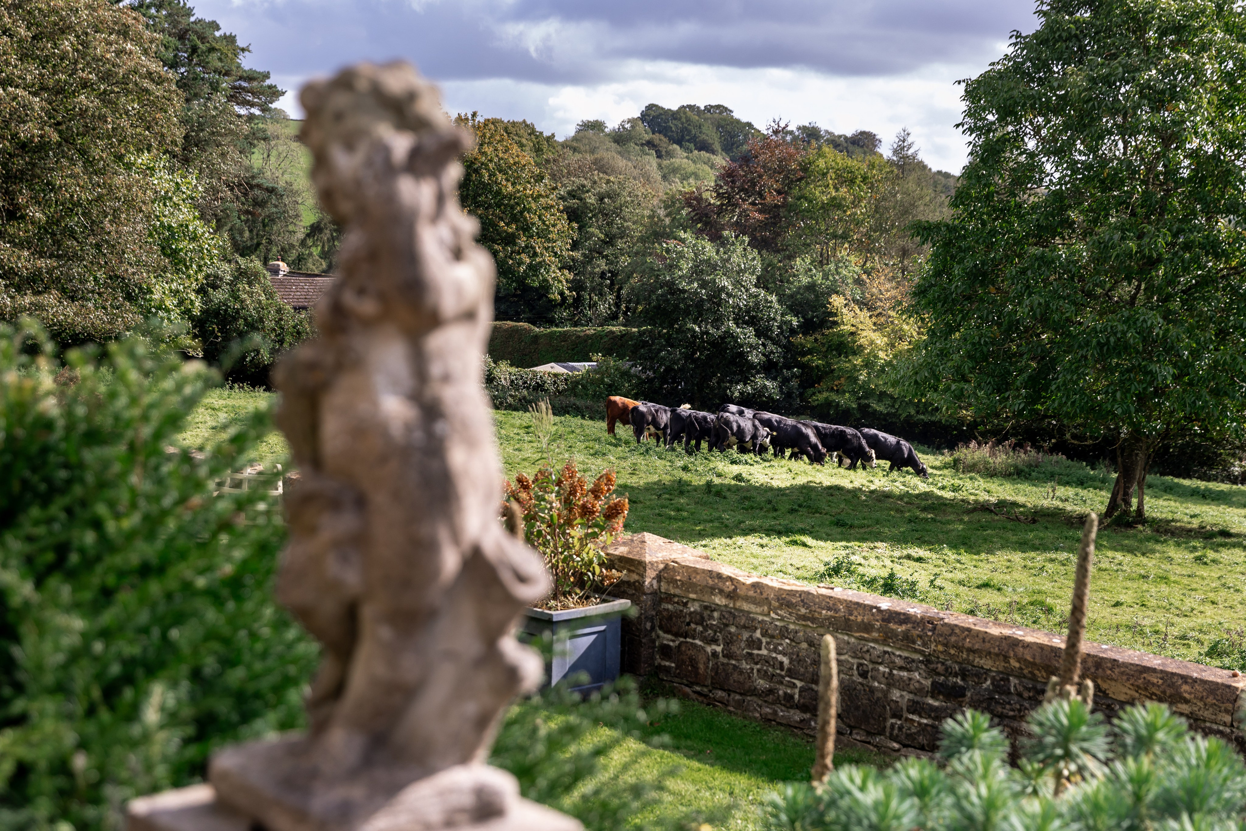 BobFest'23 in 2 days — TRUE LEGEND. September, 2023. Timeless Wedding & Event Photography from London to the world