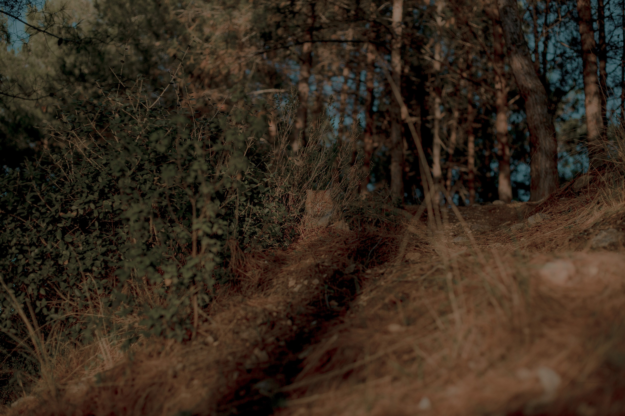 Turkey, Alanya. Art Photographer