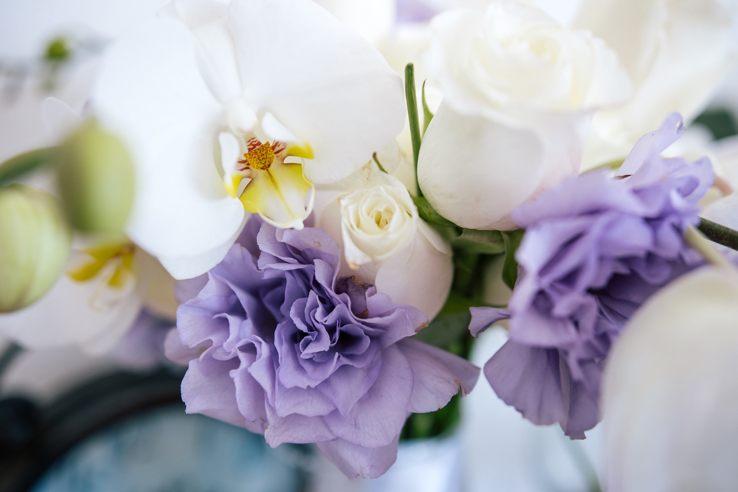 Preparativos /Getting Ready. Principal