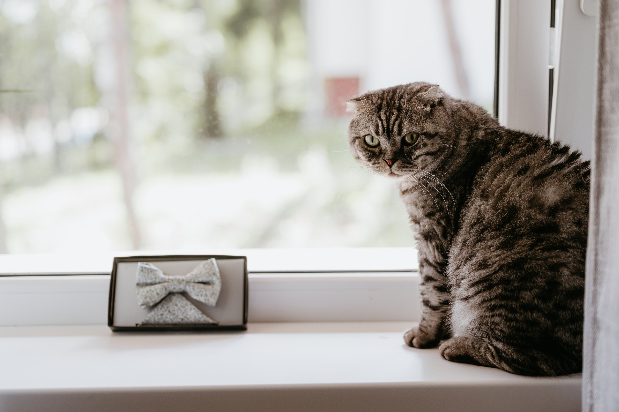 Adina și Ciprian. Valentin Melen — wedding photographer