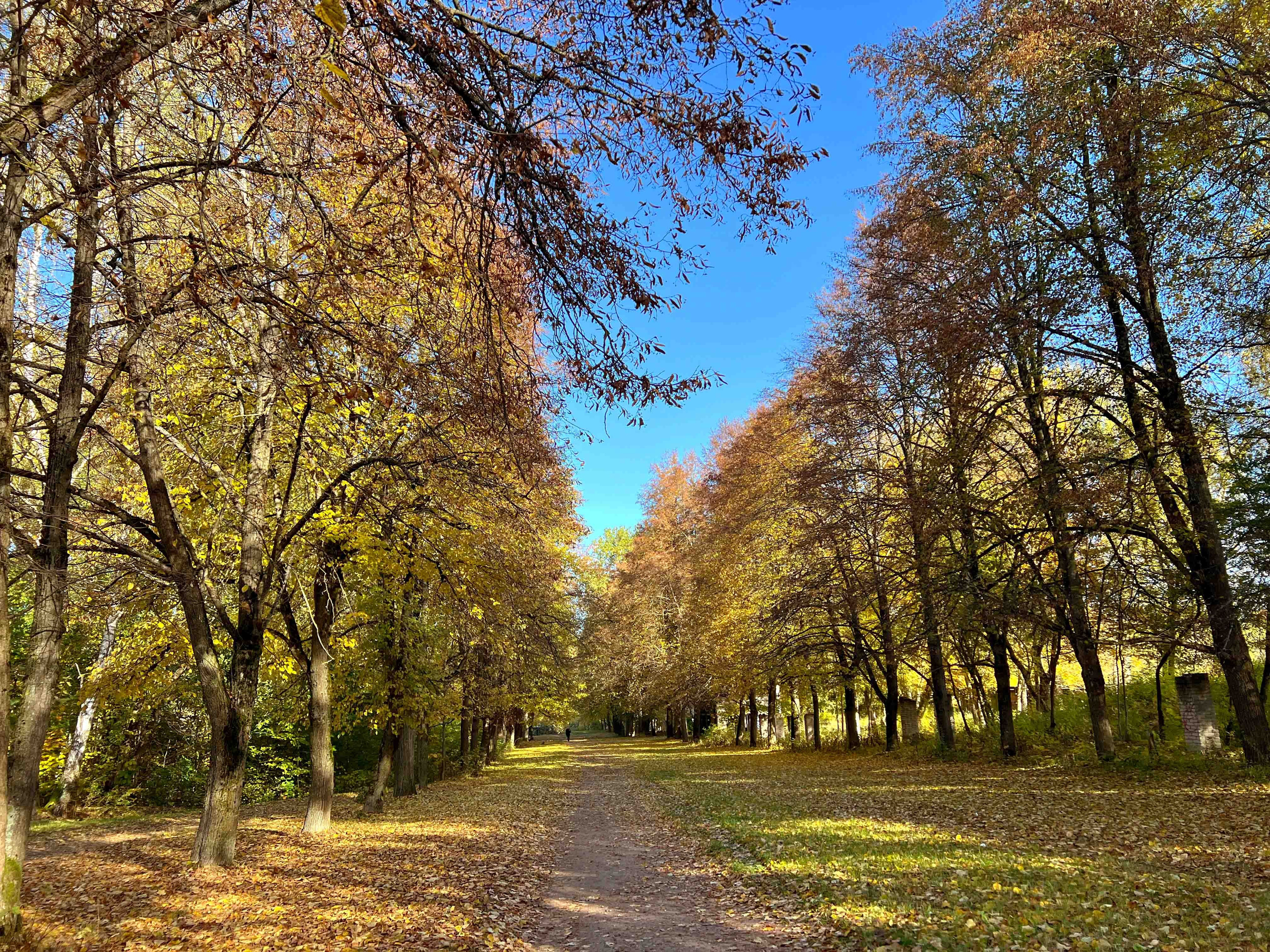 Best Autumn Photoshoot Locations in Vilnius: Top Spots to Capture the Fall Colors. Framed by Evelina | Destination Wedding Photographer from Lithuania | Europe