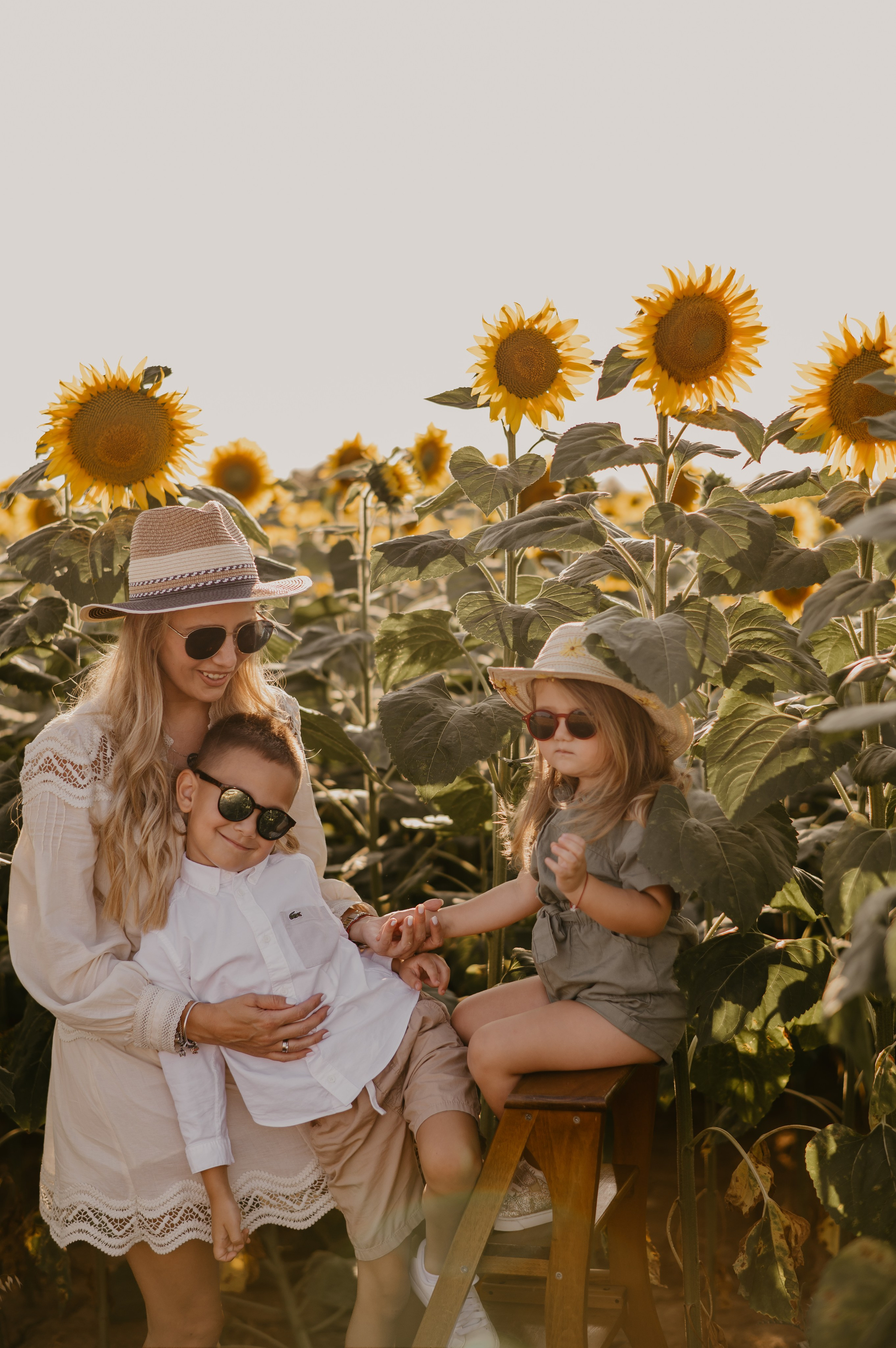 Polje suncokreta. Ana Sladojevic