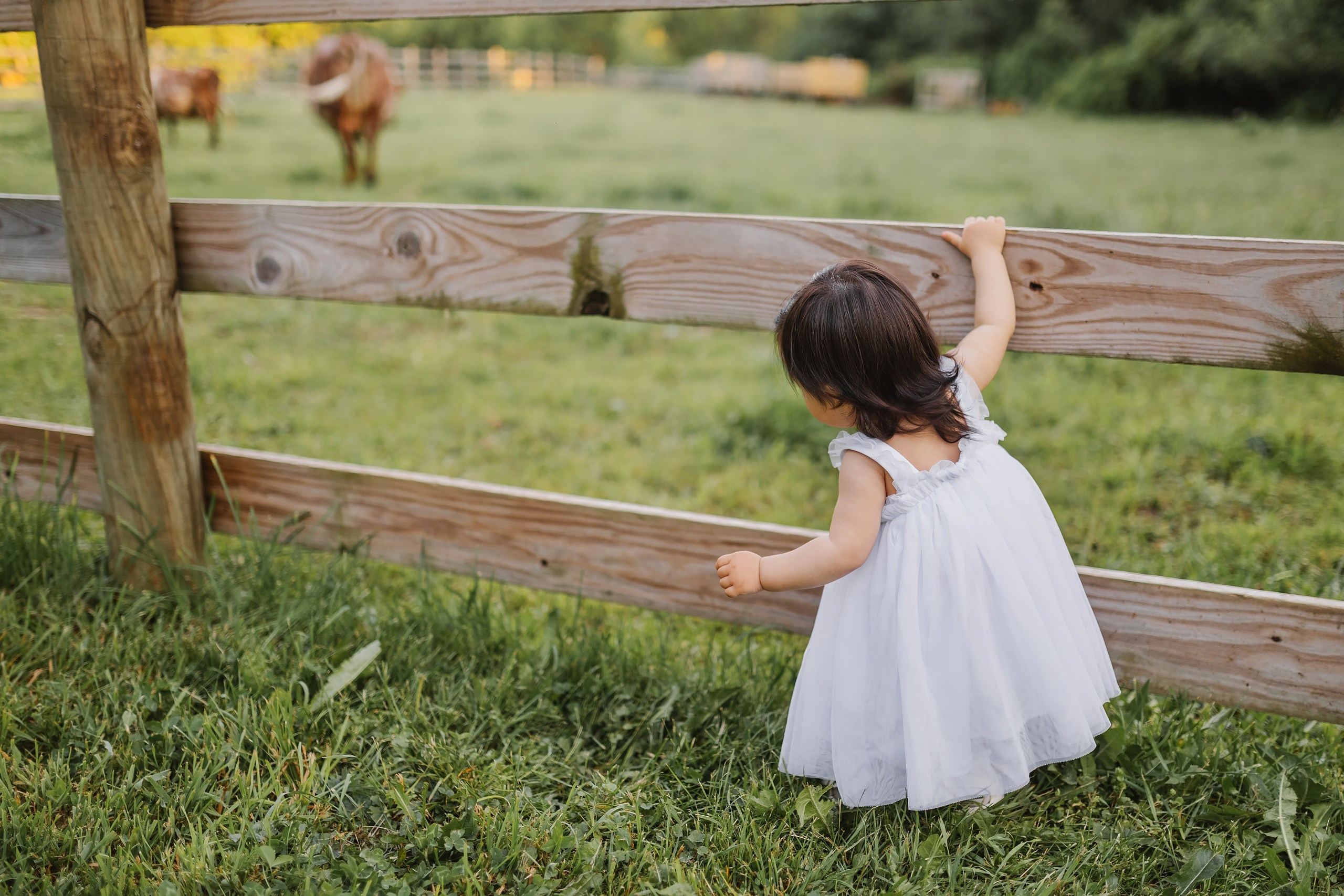 05.25.26 Family Photoshoot. Wedding family event photographer in Chicago Nick Yushevich