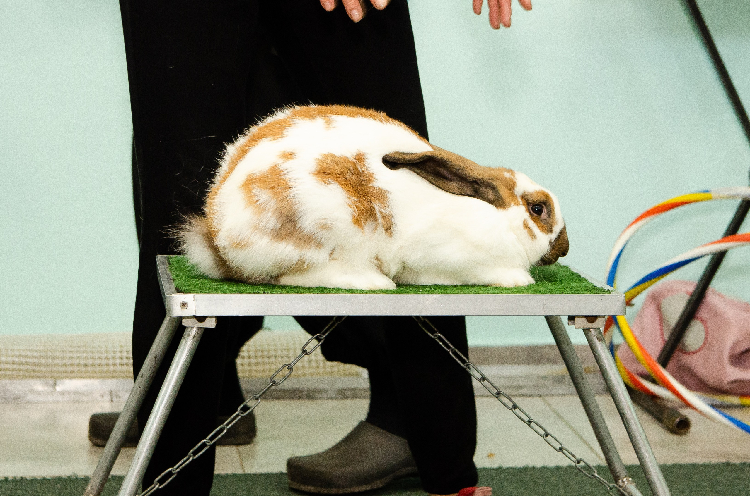 Детский сад Rainbow в Нетании