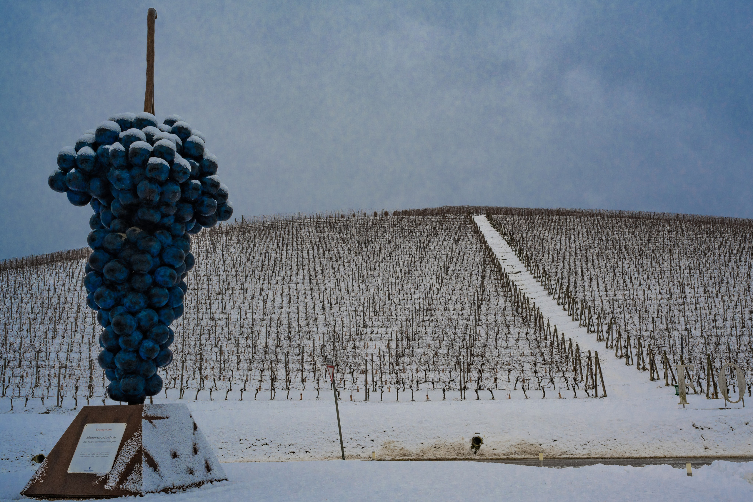 Langhe. “Gianmaria Coscia fotografo per passione”