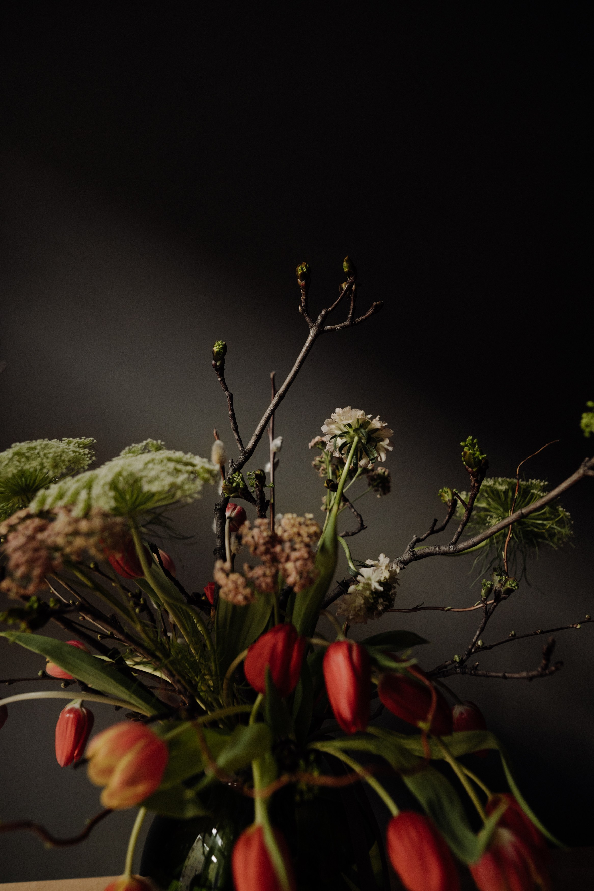 Elena. Фотограф в Праге Анна Лебедева