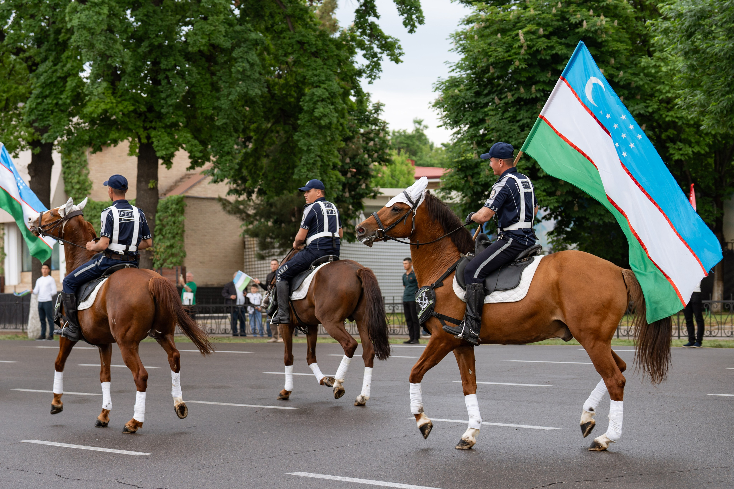 Конный парад в Ташкенте. Георгий Намазов | Фотограф в Ташкенте