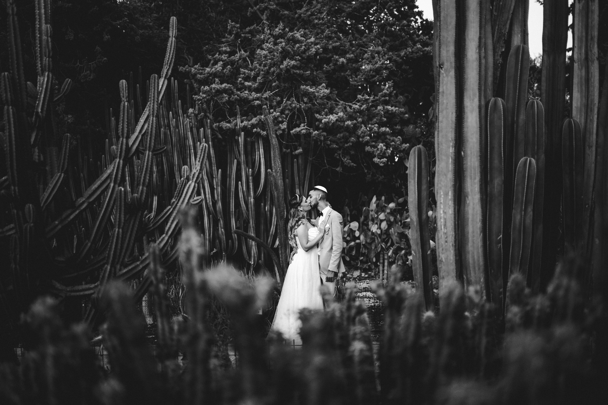 Dmitry Gorodetsky Event Photographer