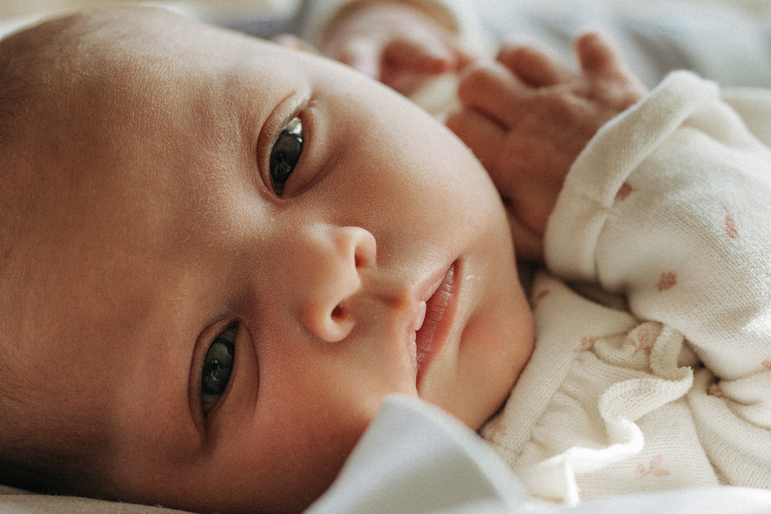 Emily, Kyle, Kinsley. Wedding and family photographer and videographer PA, NJ, NY, DE, MD