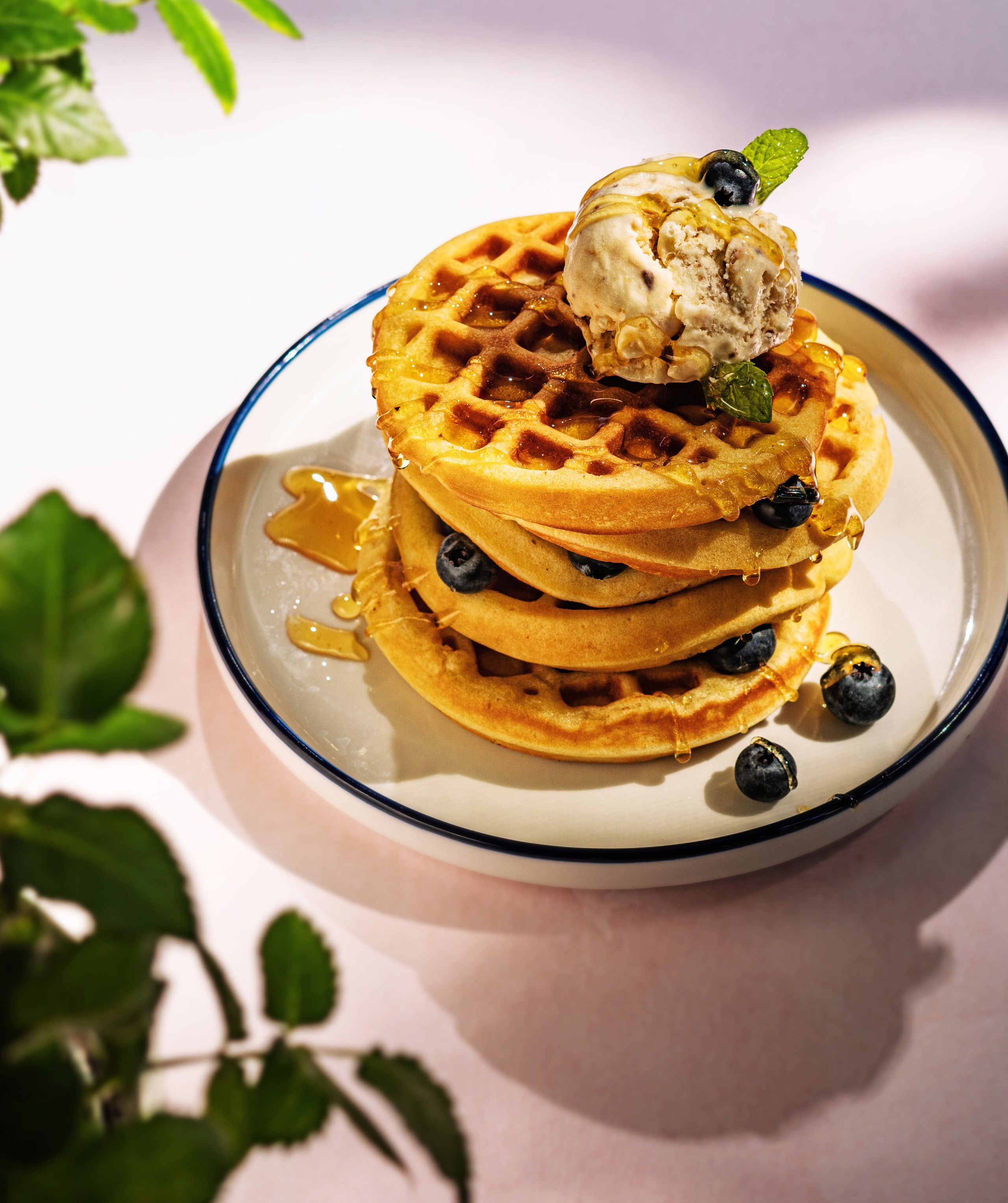 Commercial Food Photography – USA Menu & Advertising. LILIIA ZABOTKINA food photographer California