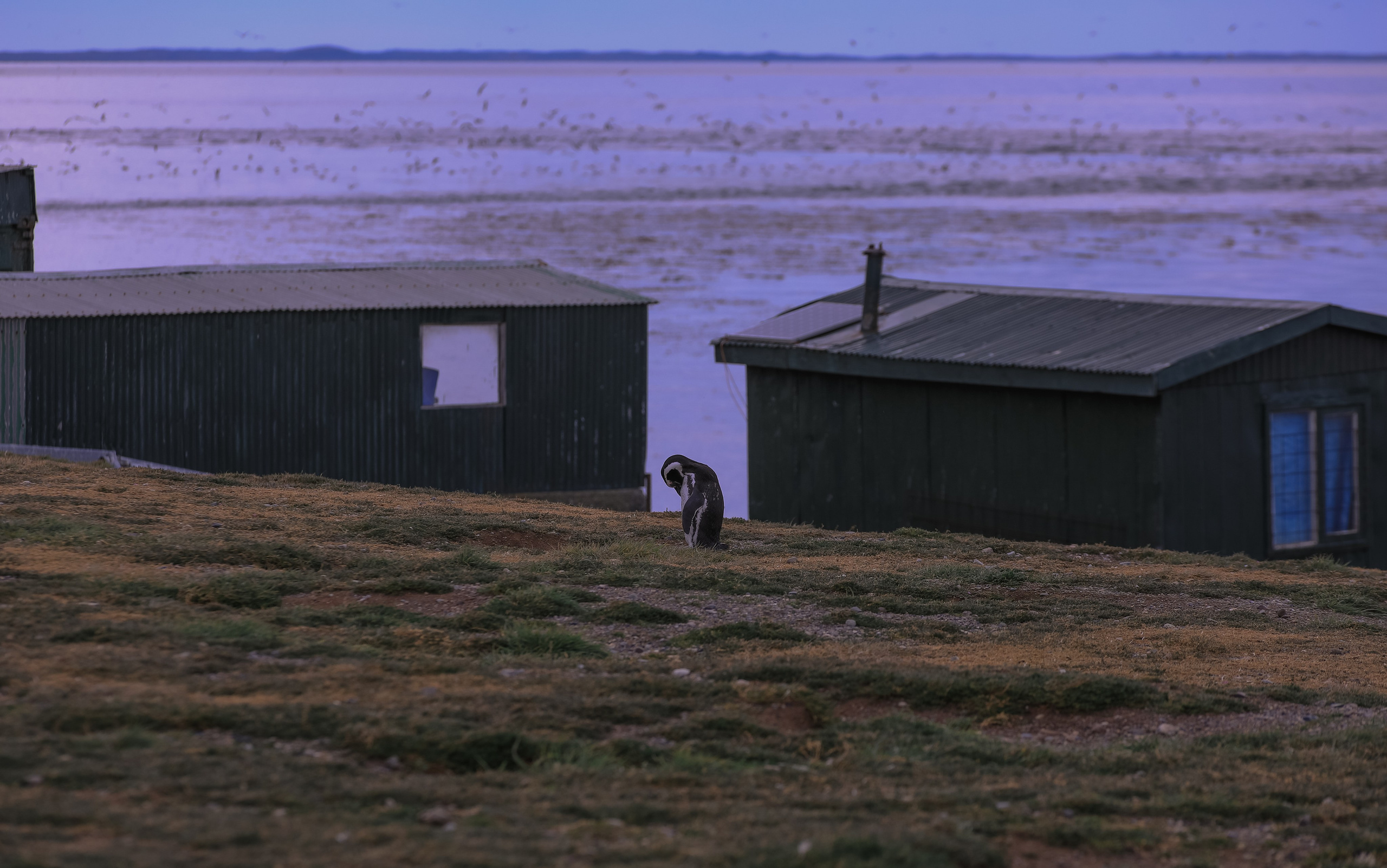 PATAGONIE. Photographe Karen Tatevosian