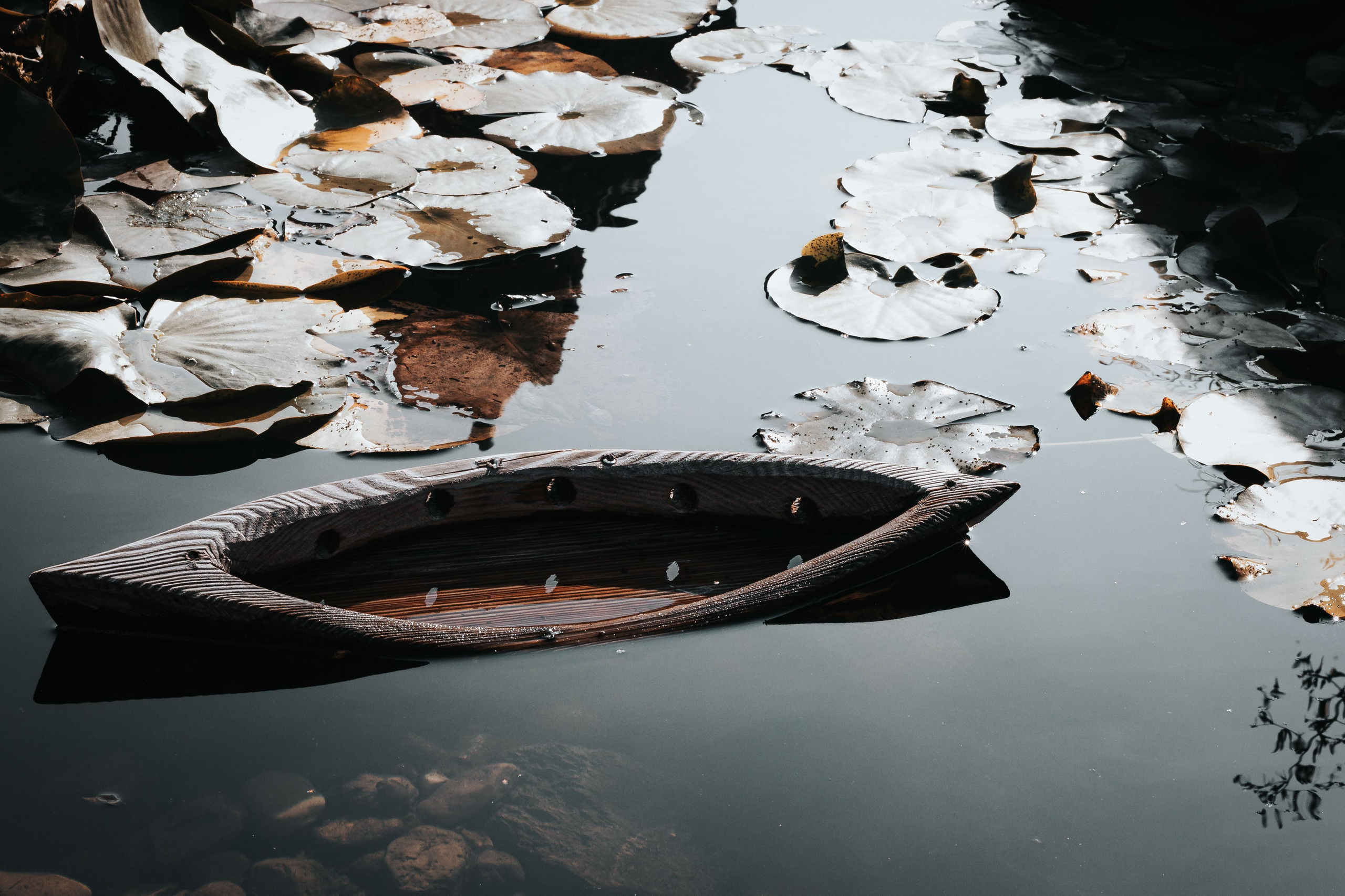 Foto minisérie a myšlenky. Dana Lišková — Empatická fotografka | Introspektivní umělkyně | Neurodivergentní koučka| Zakladatelka Artepy.cz