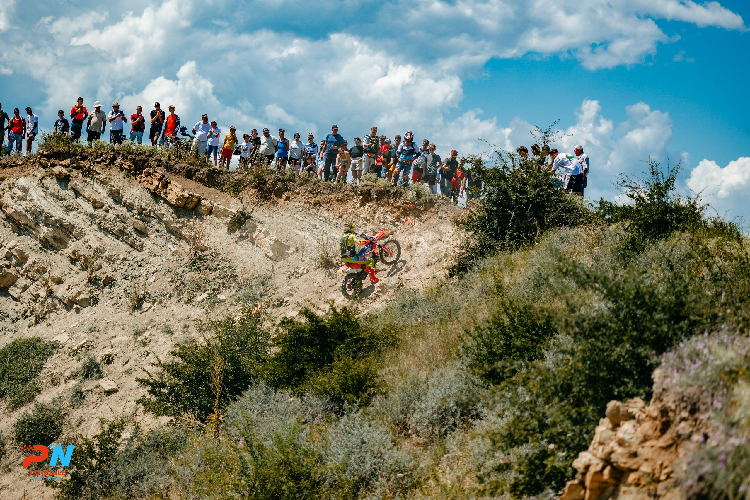 Potecile Naturii 2025. Raw Studio. Fotograful tau de nunta!