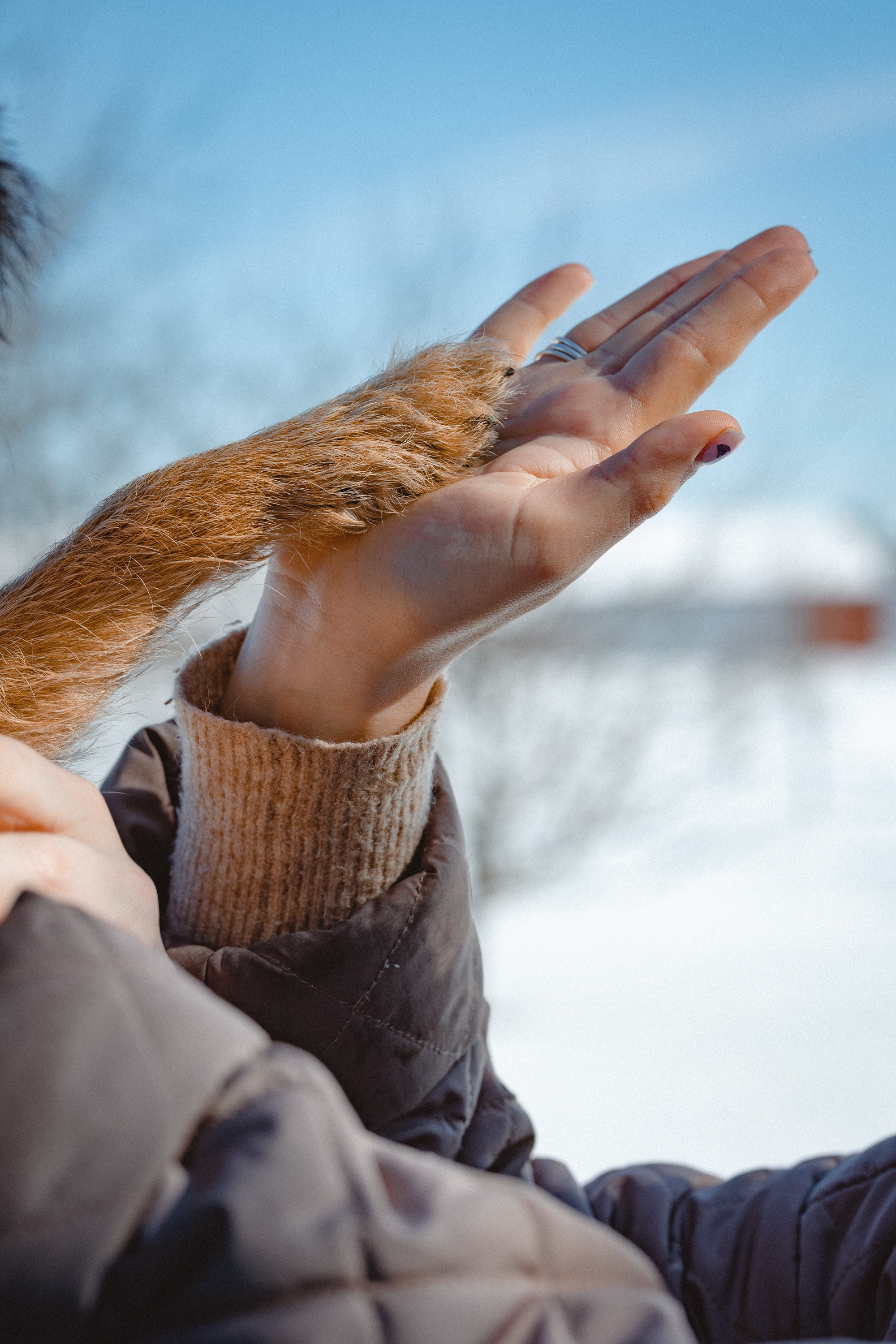 Parikuvaus. Valokuvaaja Lahti, Helsinki Elena Salonen