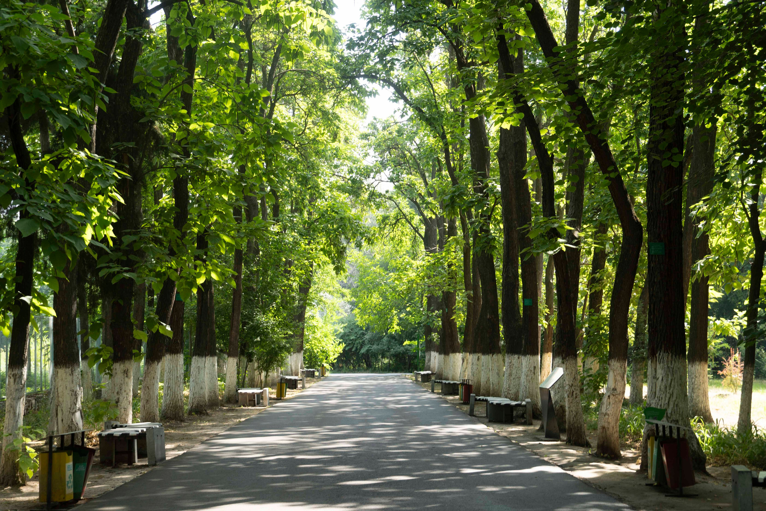 Wildlife Photography Programme (British Council x MOC). Melikov Amir, Uzbekistan based photographer