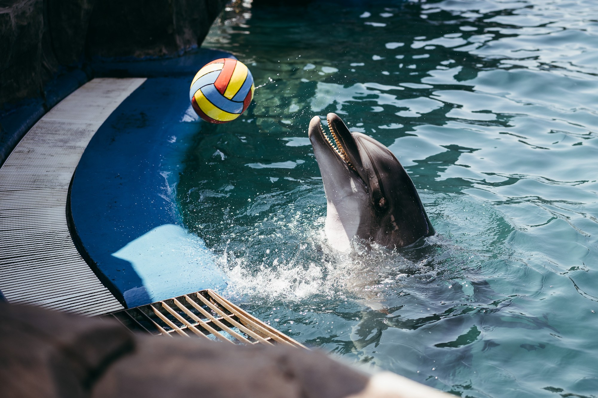 200 kilohertz. Stanislava Novgorodtseva — Photographer | Visual Artist | Educator