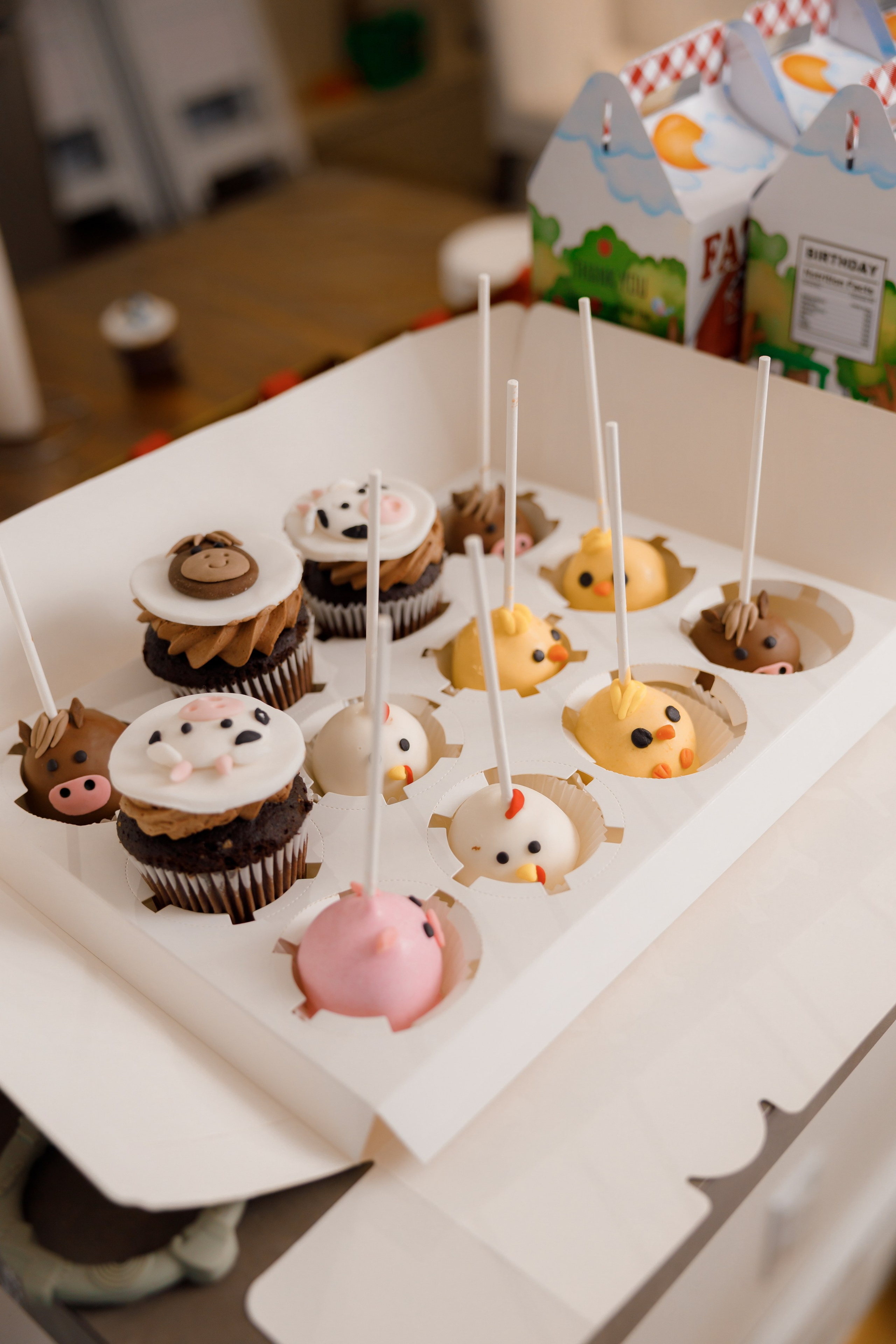 Fateh’s 1st birthday. Home