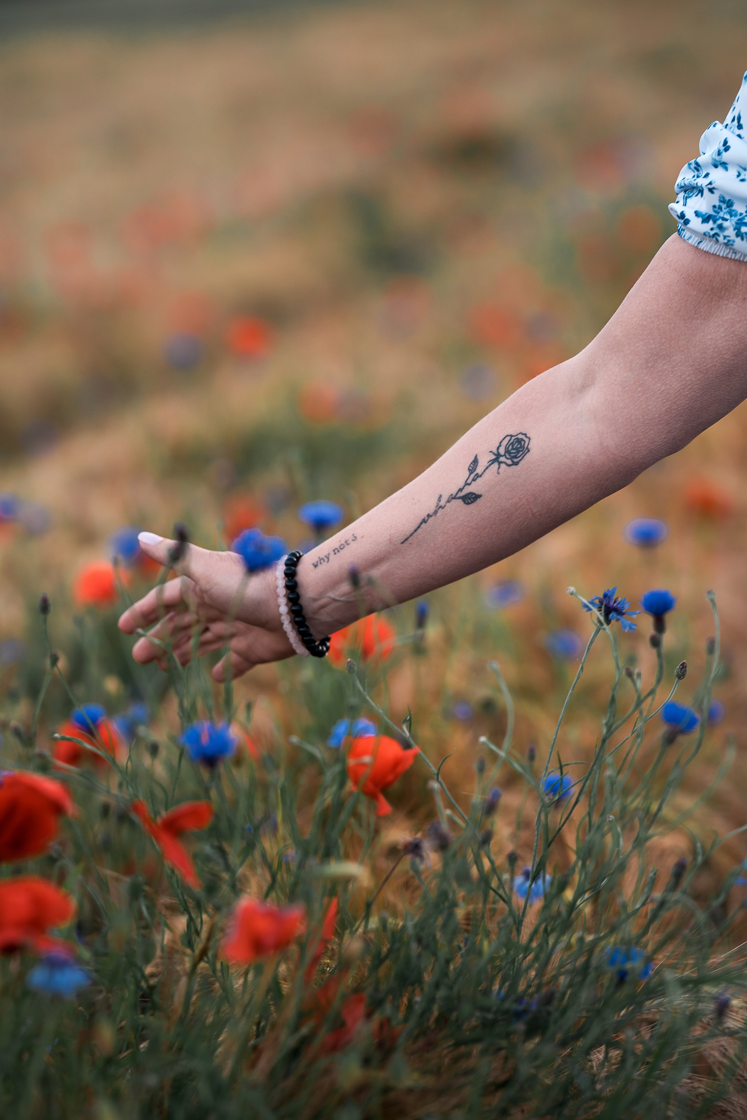 No Risk, No Story ⭐. Familien, Portrait und Konzeptualfotografie in Genf, Schweiz