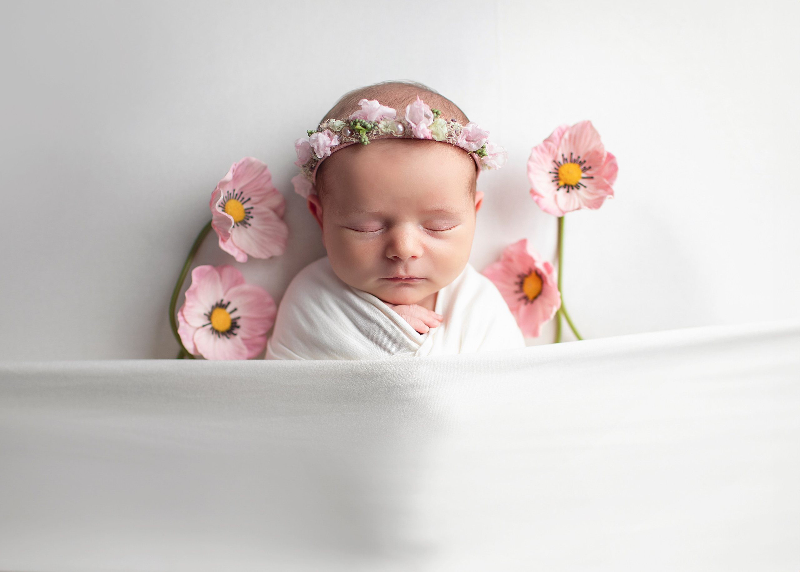 Info. Axlundphotography.se