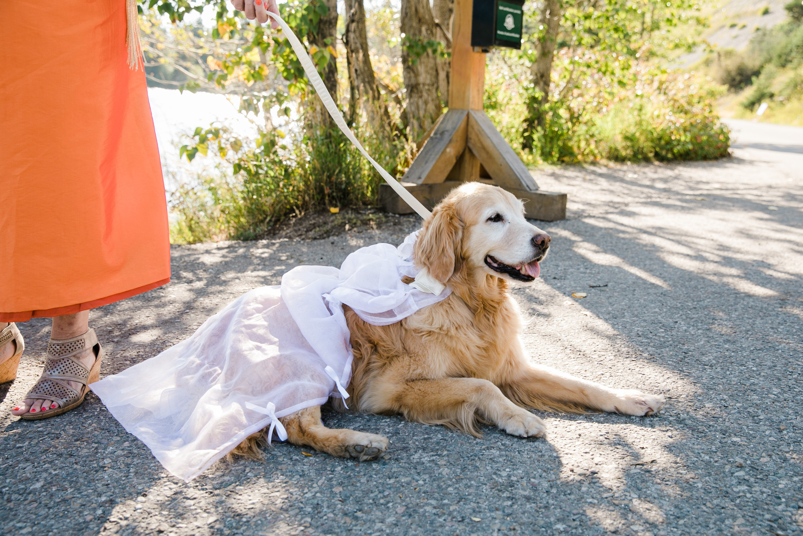Dakota & Jarrett Wedding — Vermilion Lakes. Fotografía accesible en Calgary