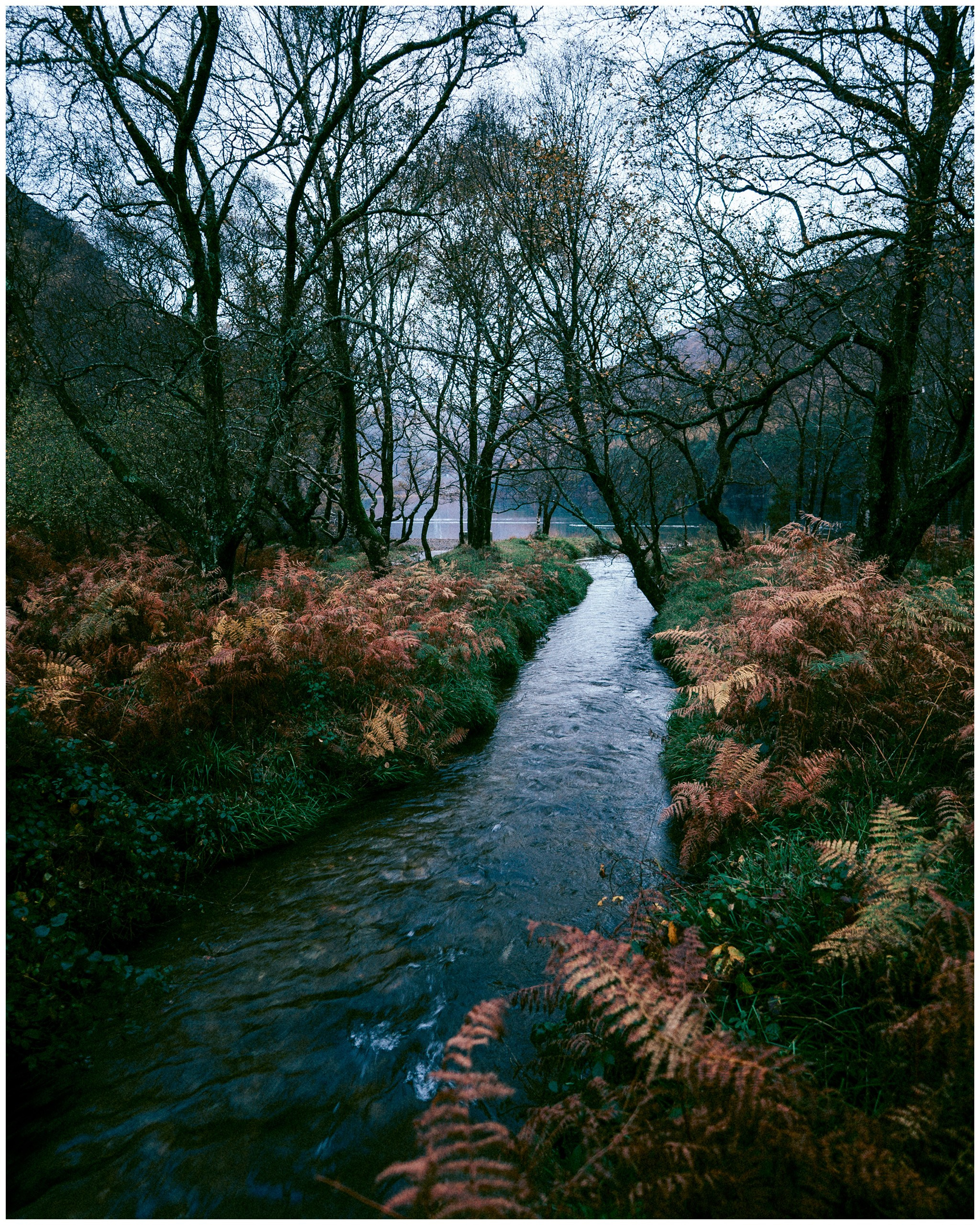 IRELAND. Inna Mendelson — Photographer