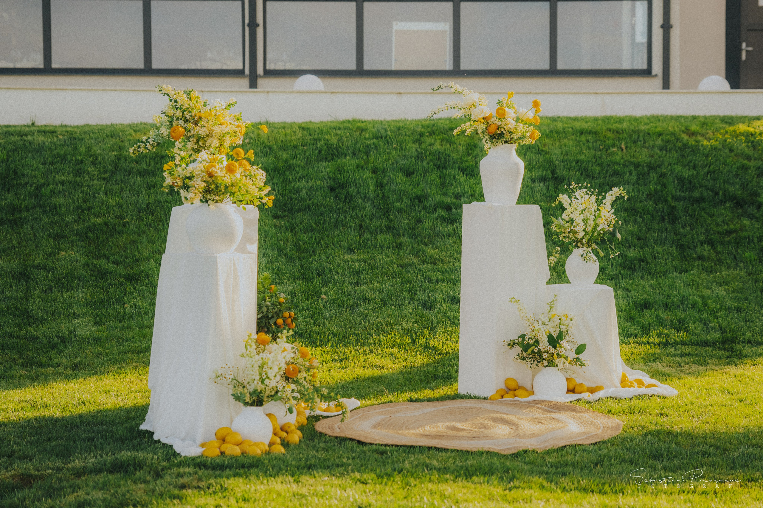 Love & Lemons. Sebastian Purusniuc Fotograf - Iasi