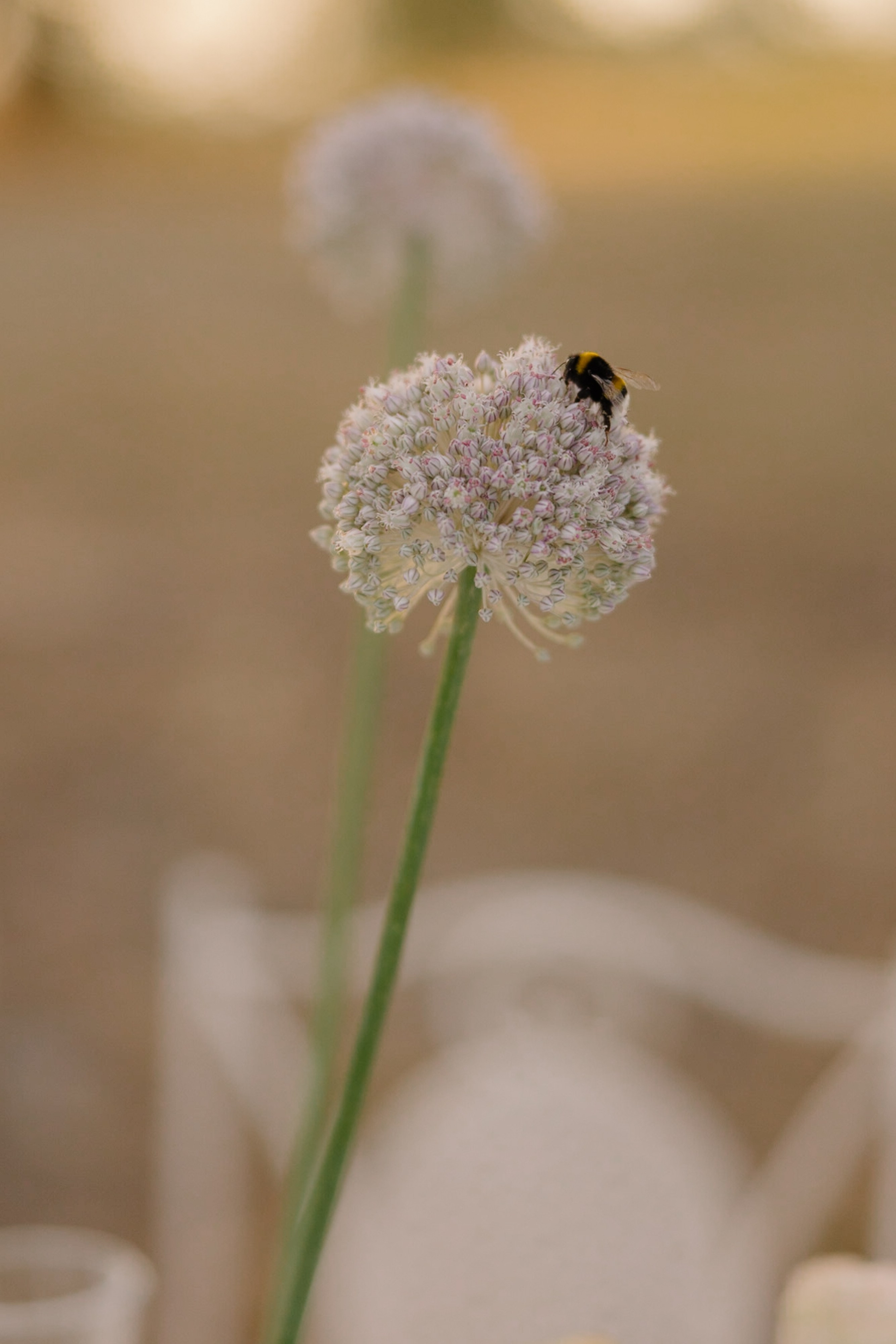 1. Wedding photographer Italy