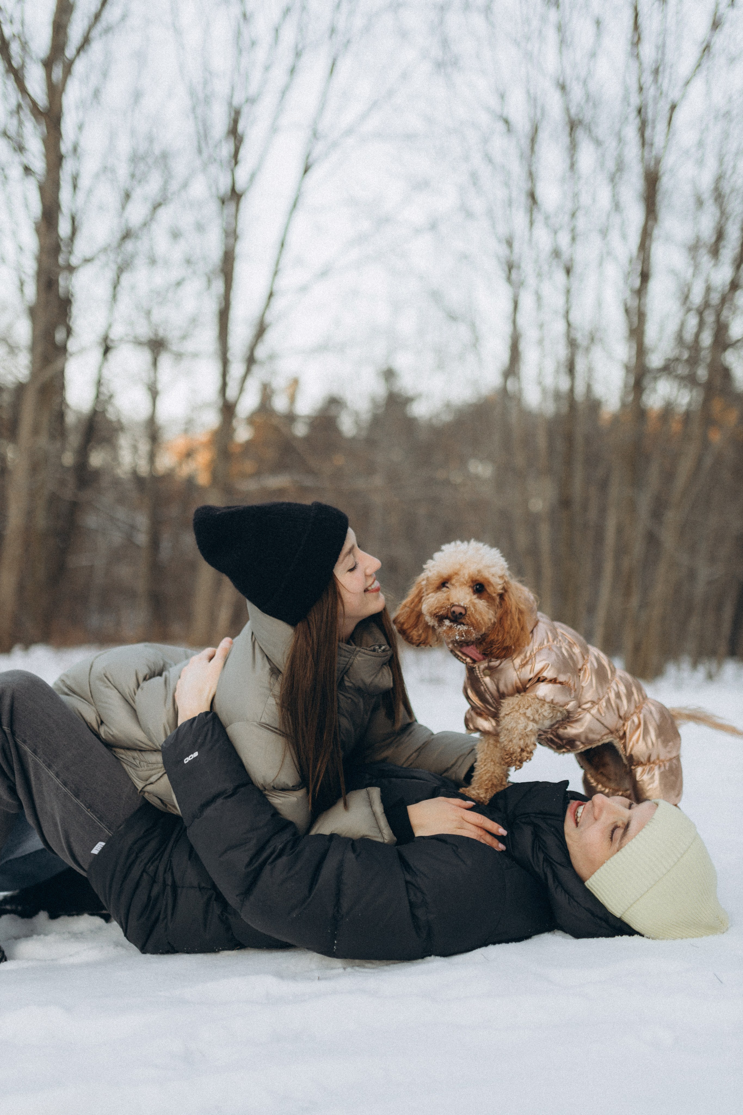 Winter magic. Chernenko.photography