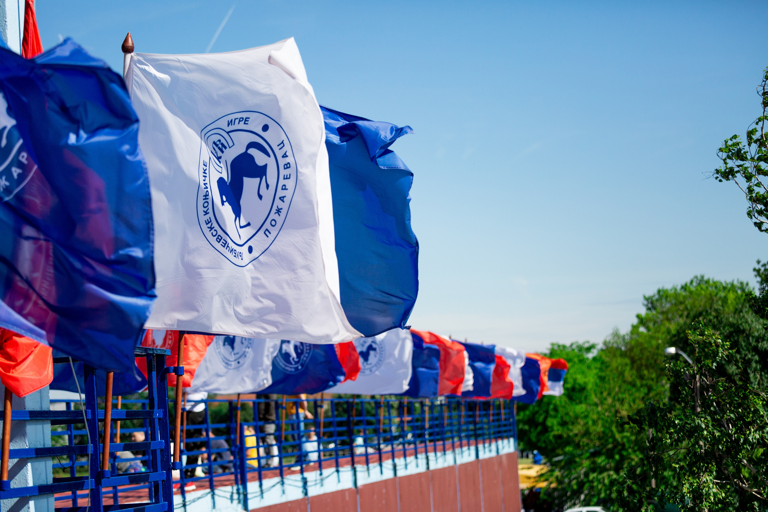 Konjičke trke u Požarevcu. Fotoivanpancevo