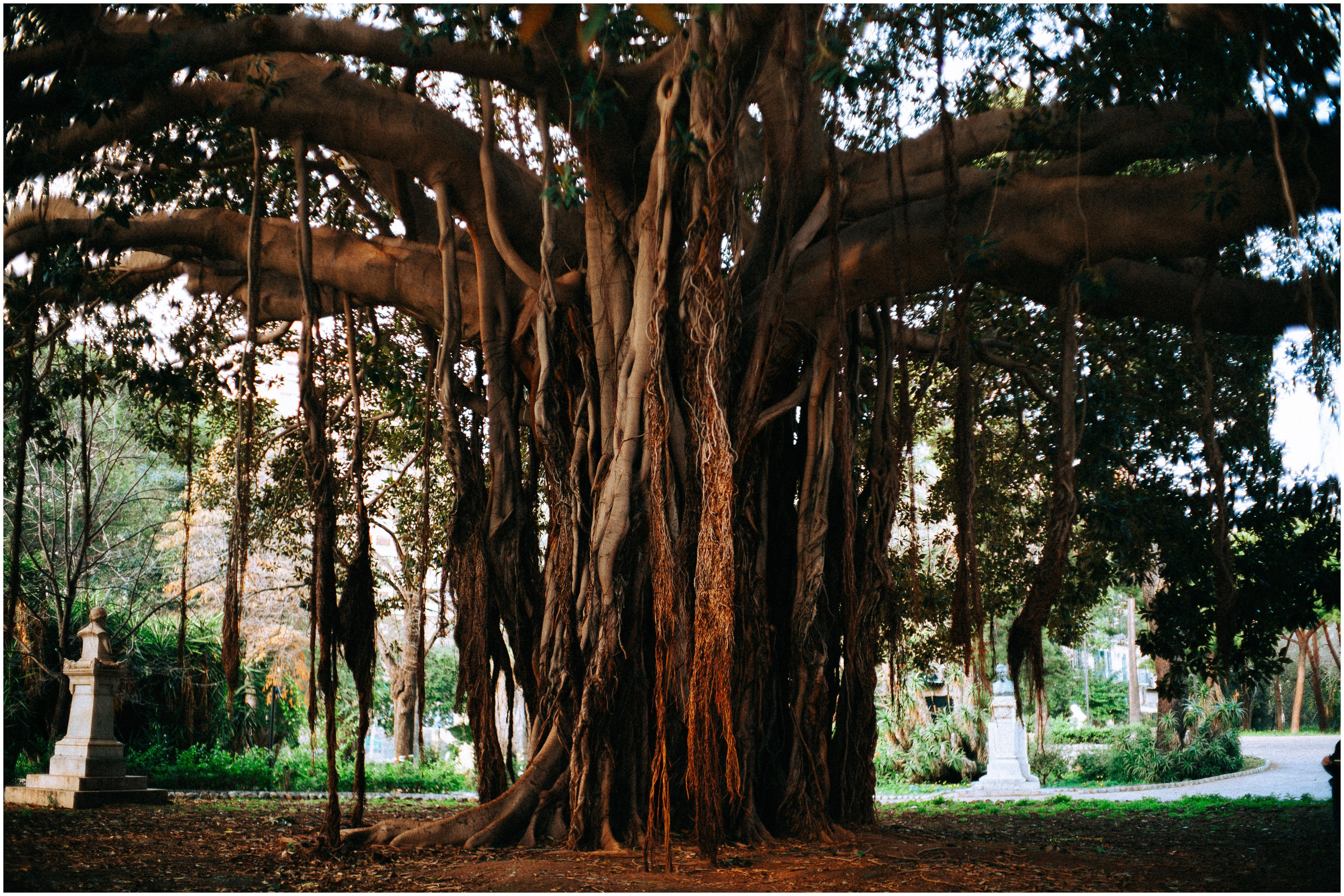 PALERMO. Photographer Inna Mendelson