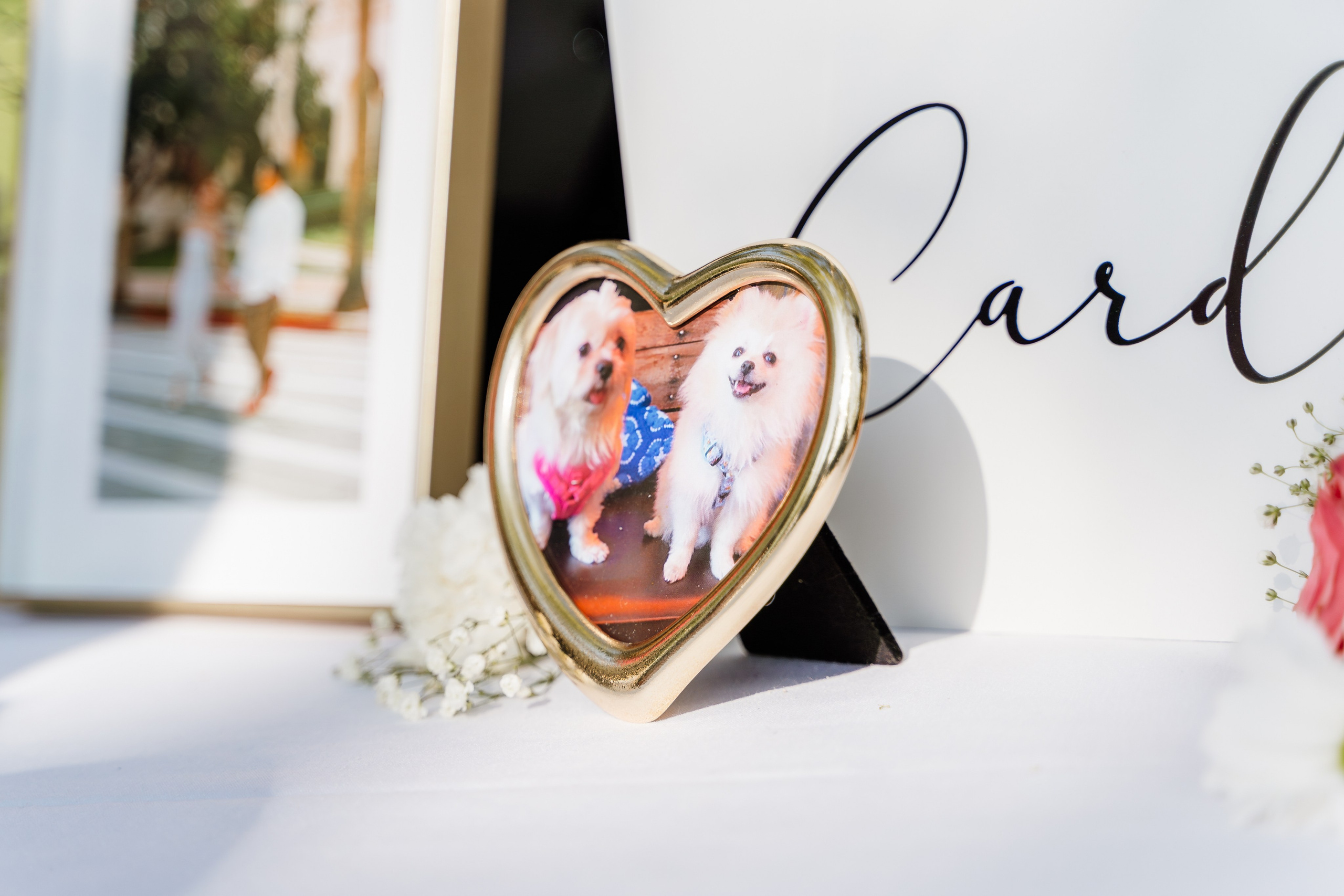 Daniel & Michelle Wedding. Pixel Pie — Wedding Photography & Videography