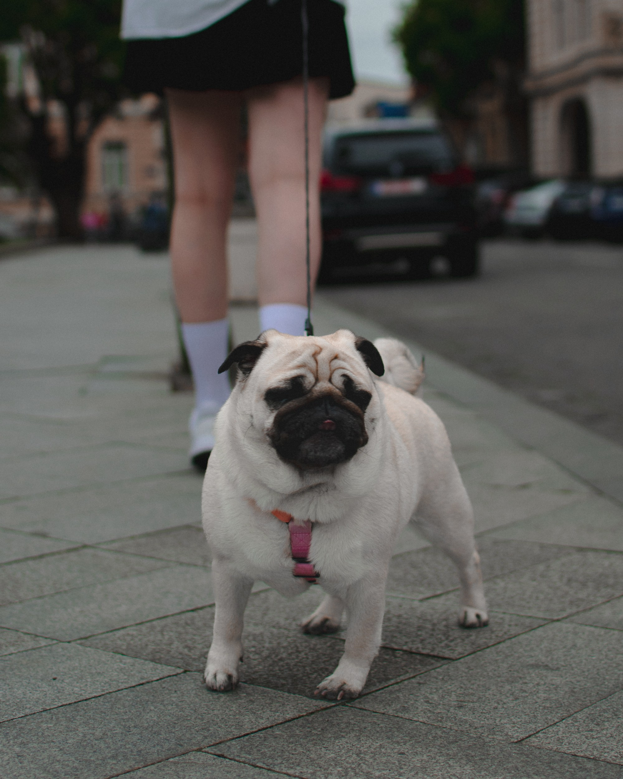 Анастасия и Дарси. Индивидуальный и свадебный фотограф в Батуми Валерия Азаренко