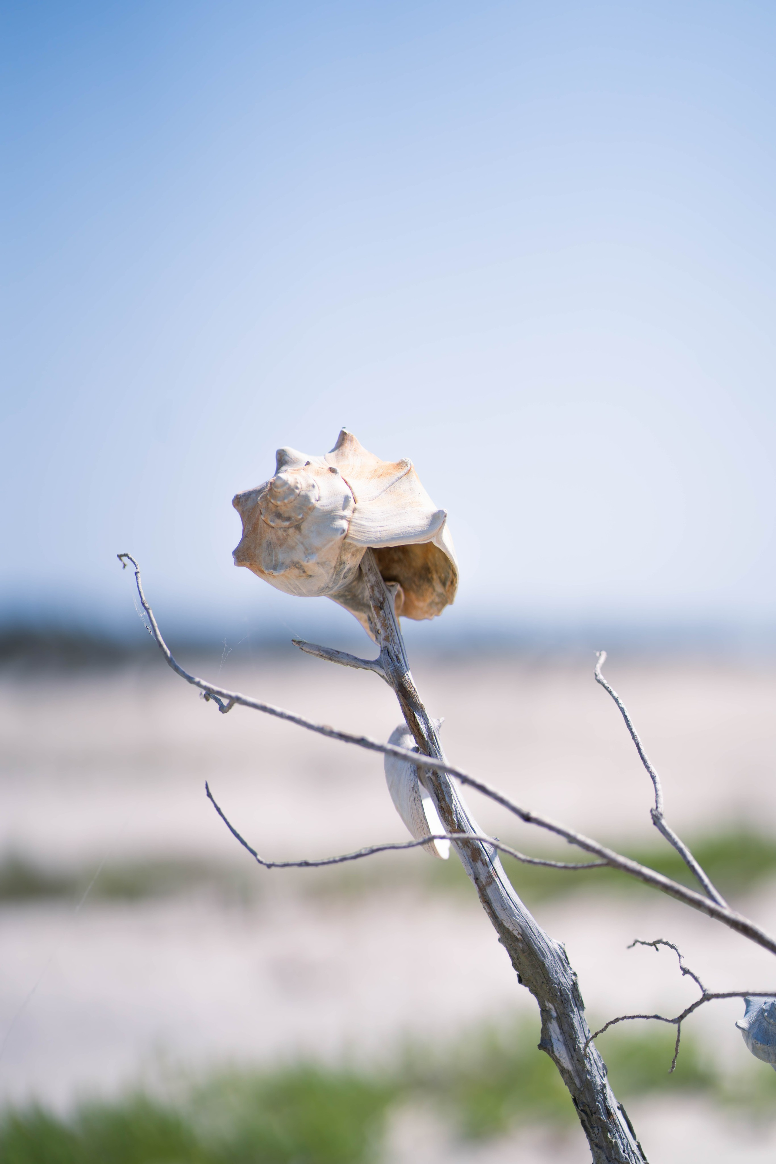 Travel + Nature. Travel and family photographer in South Carolina