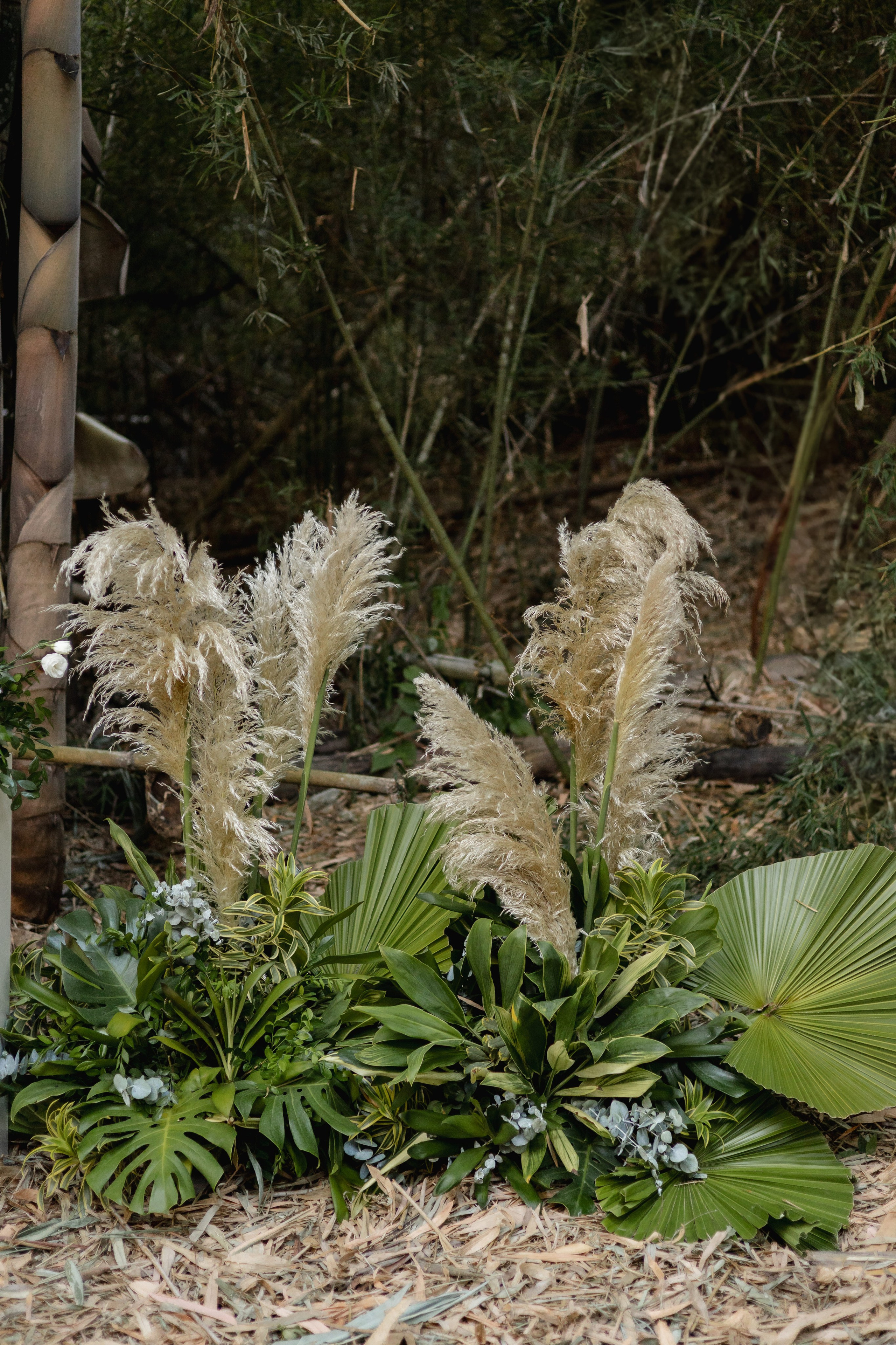 Editorial Dom Brunello