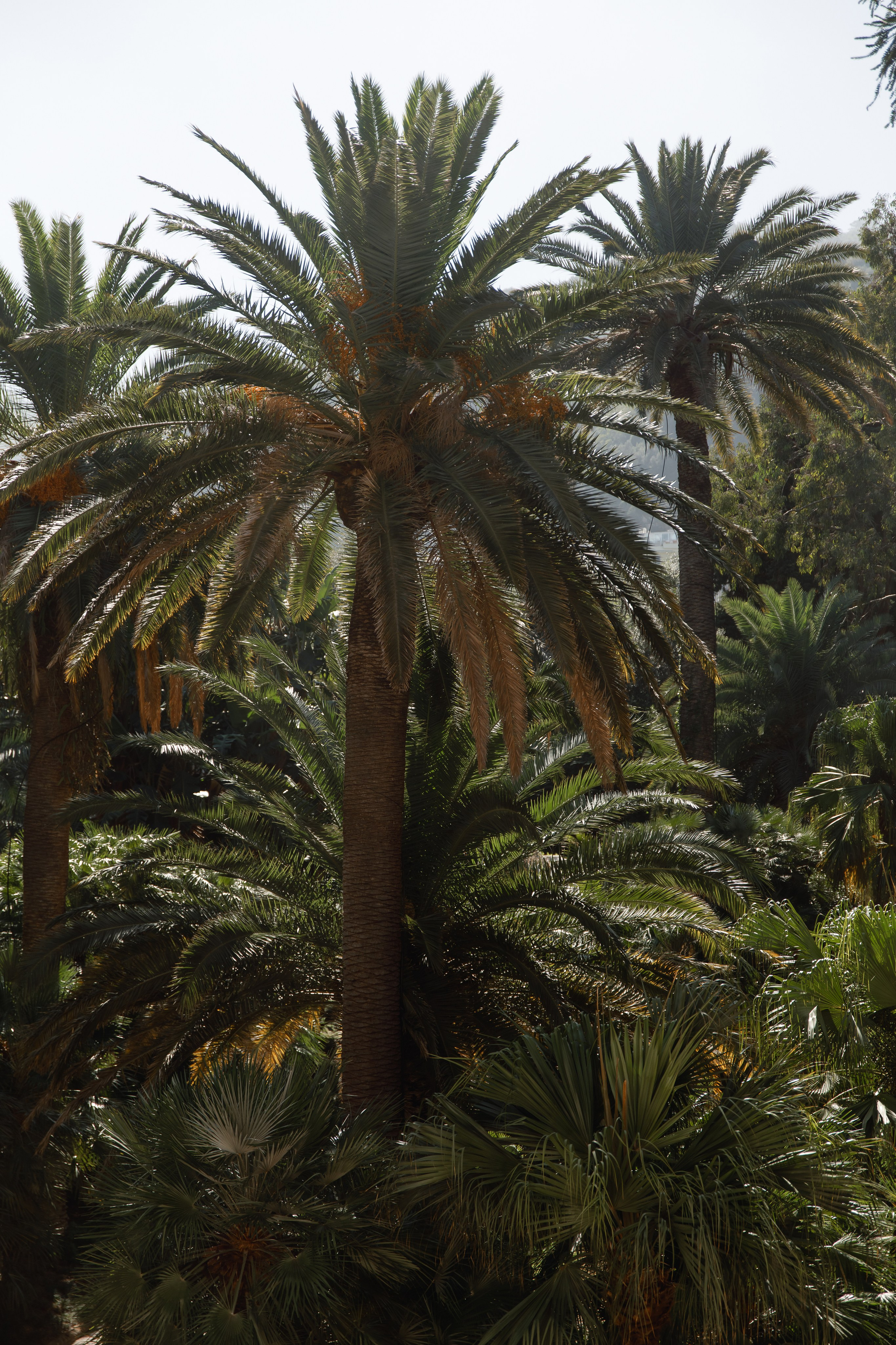 Wedding photographer Italy Rome, Tuscany, Lake Como, Sicily, Puglia. Wedding Photographer Rome Tuscany Como Sicily Puglia Amalfy Italy- Oksana Savenchuk