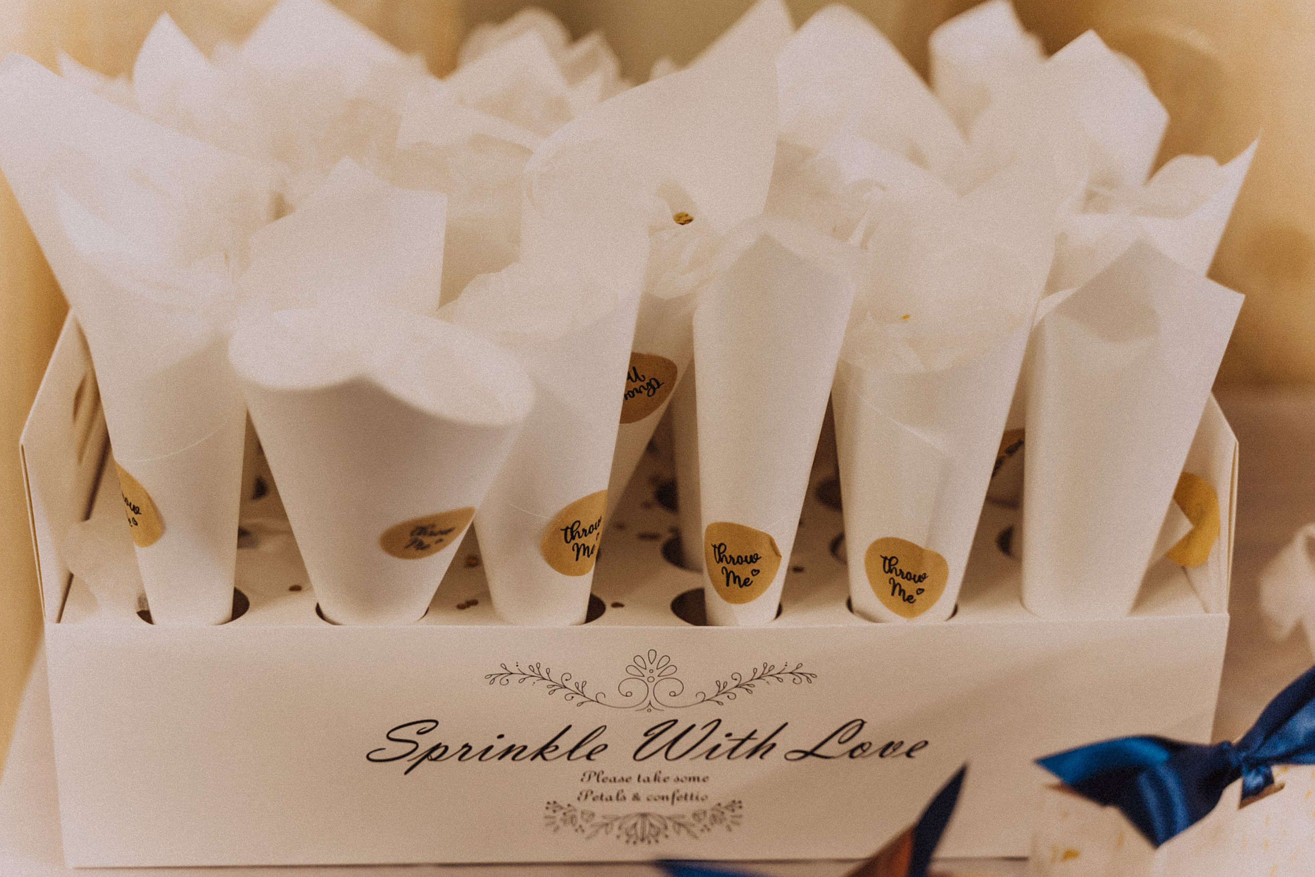 WEDDING: Polina & Stephen. Maternity/Love story/Wedding photographer