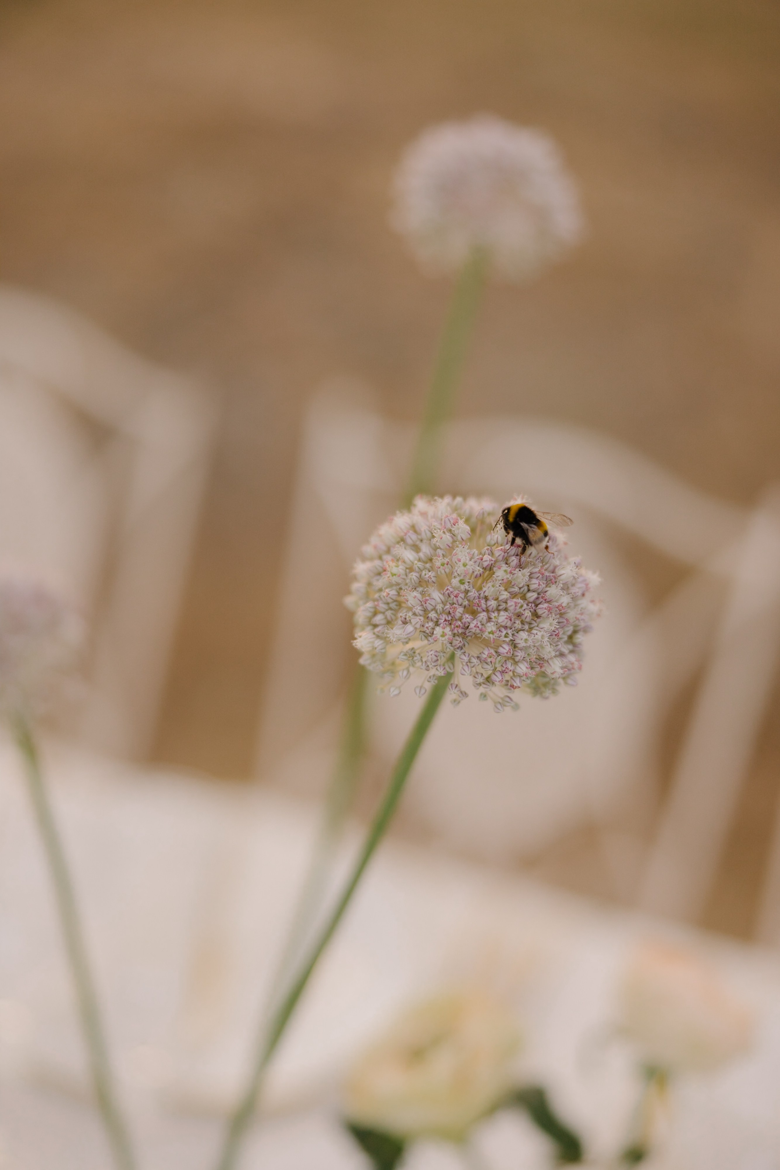 1. Wedding photographer Italy
