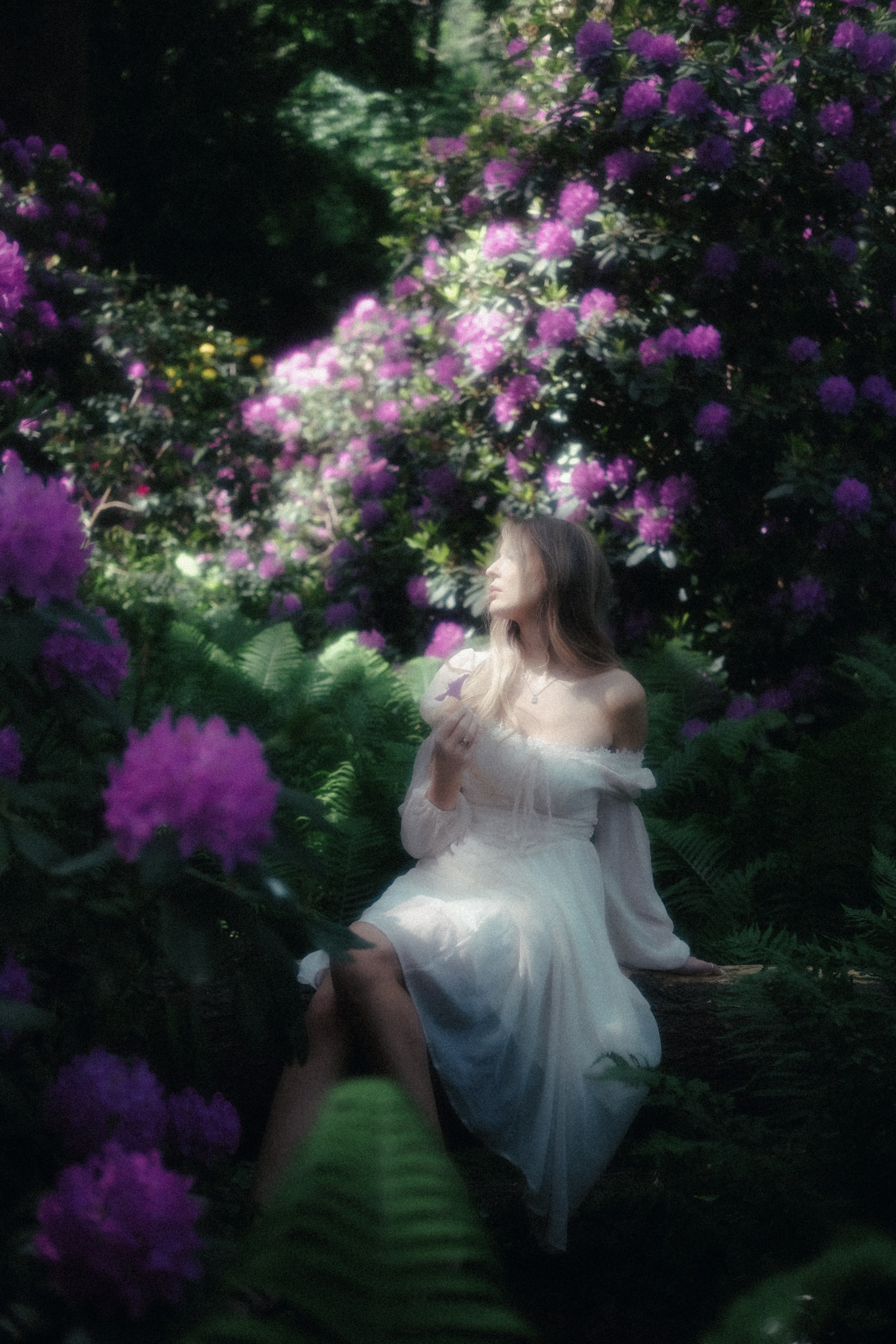 Somewhere between a dream and a fairytale ✨. Alena Iatkina — Fine Art Photographer