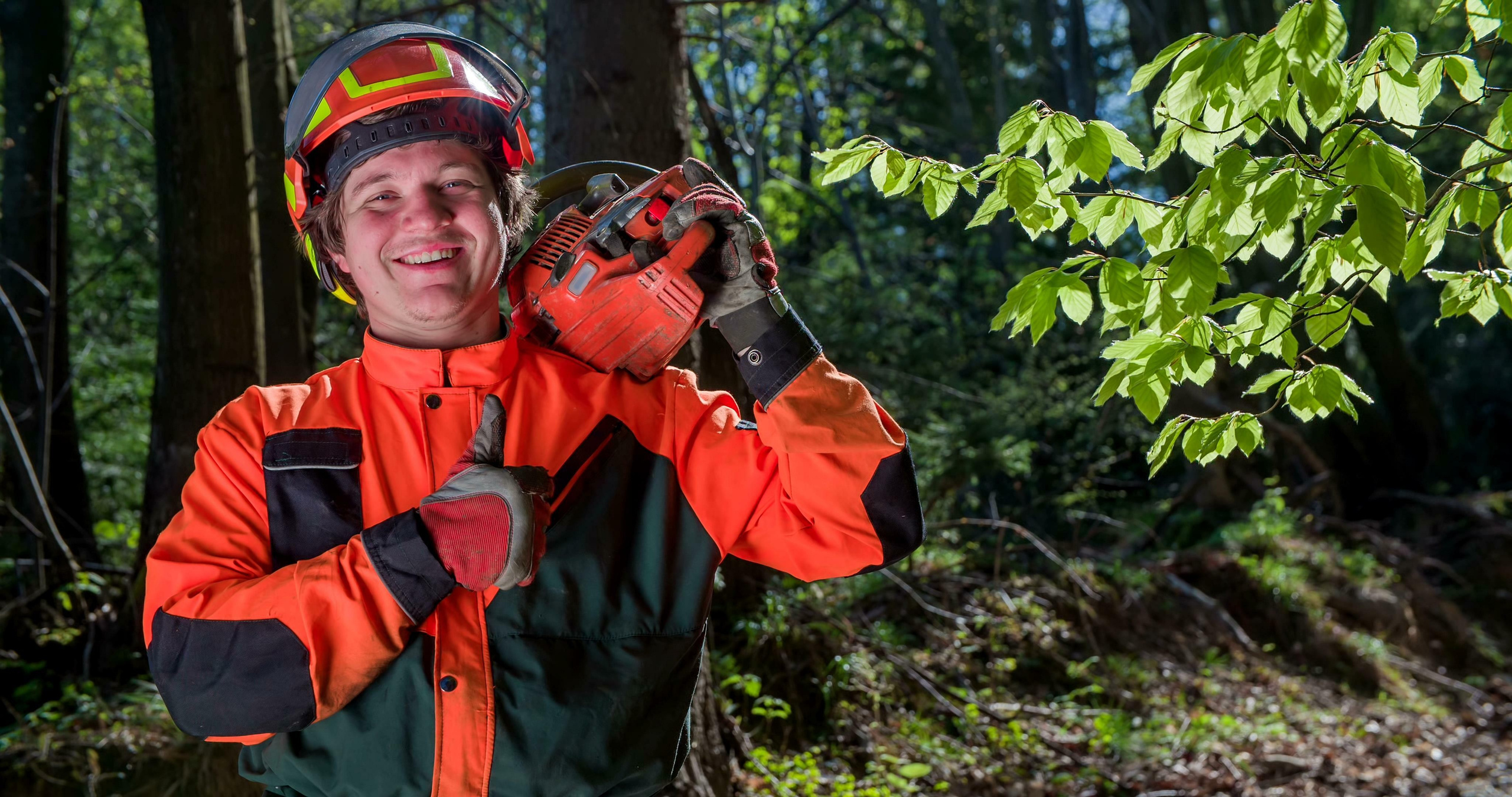 Κοπή-Κλάδεμα-Διαμόρφωση-Καθάρισμα Υψηλών Δέντρων. Geoponitikon-Όταν η Επιστήμη συναντά την Τέχνη στο Φυσικό Τοπίο!